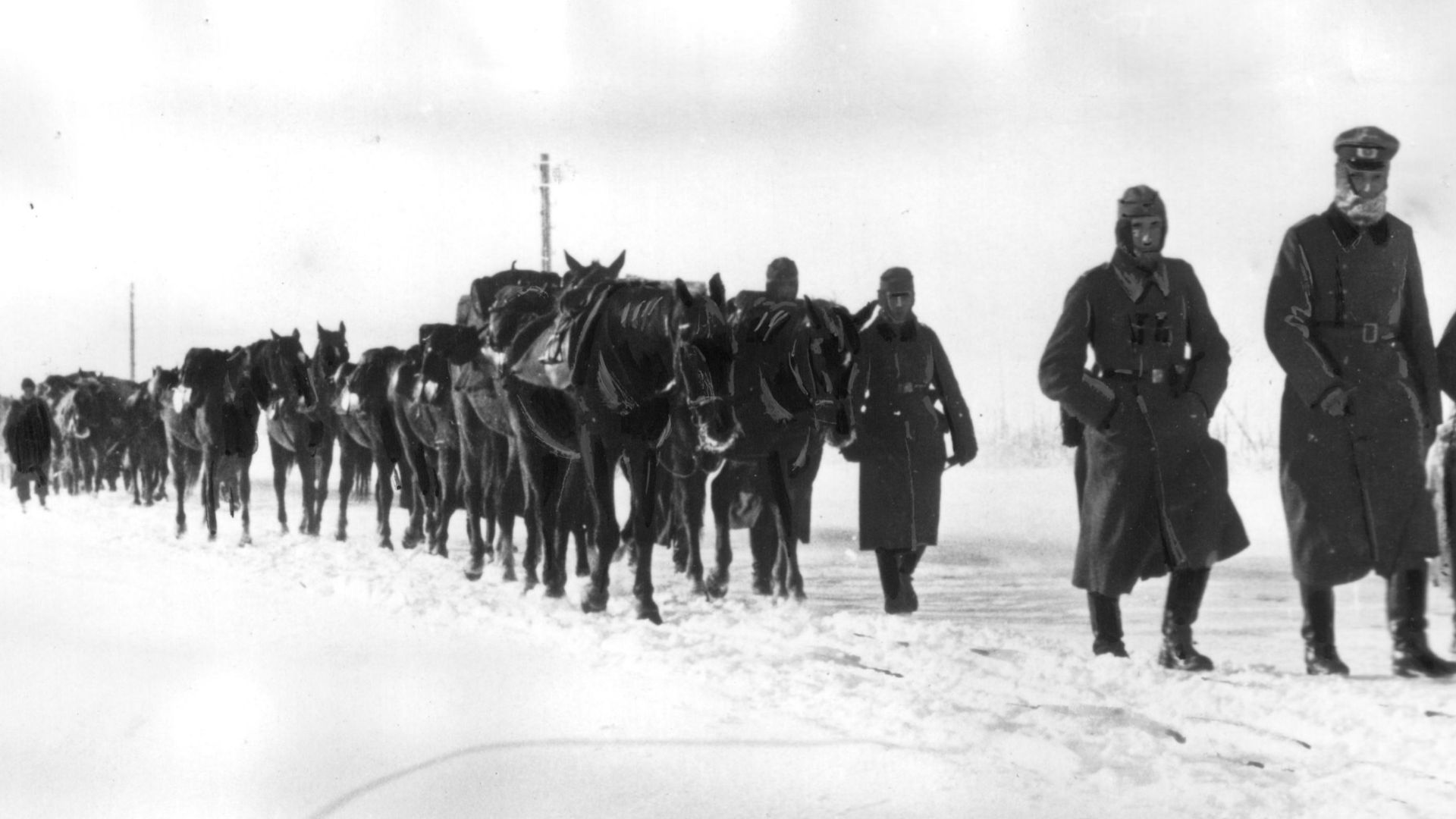 File:Piechota niemiecka w marszu na Leningrad (2-867).jpg