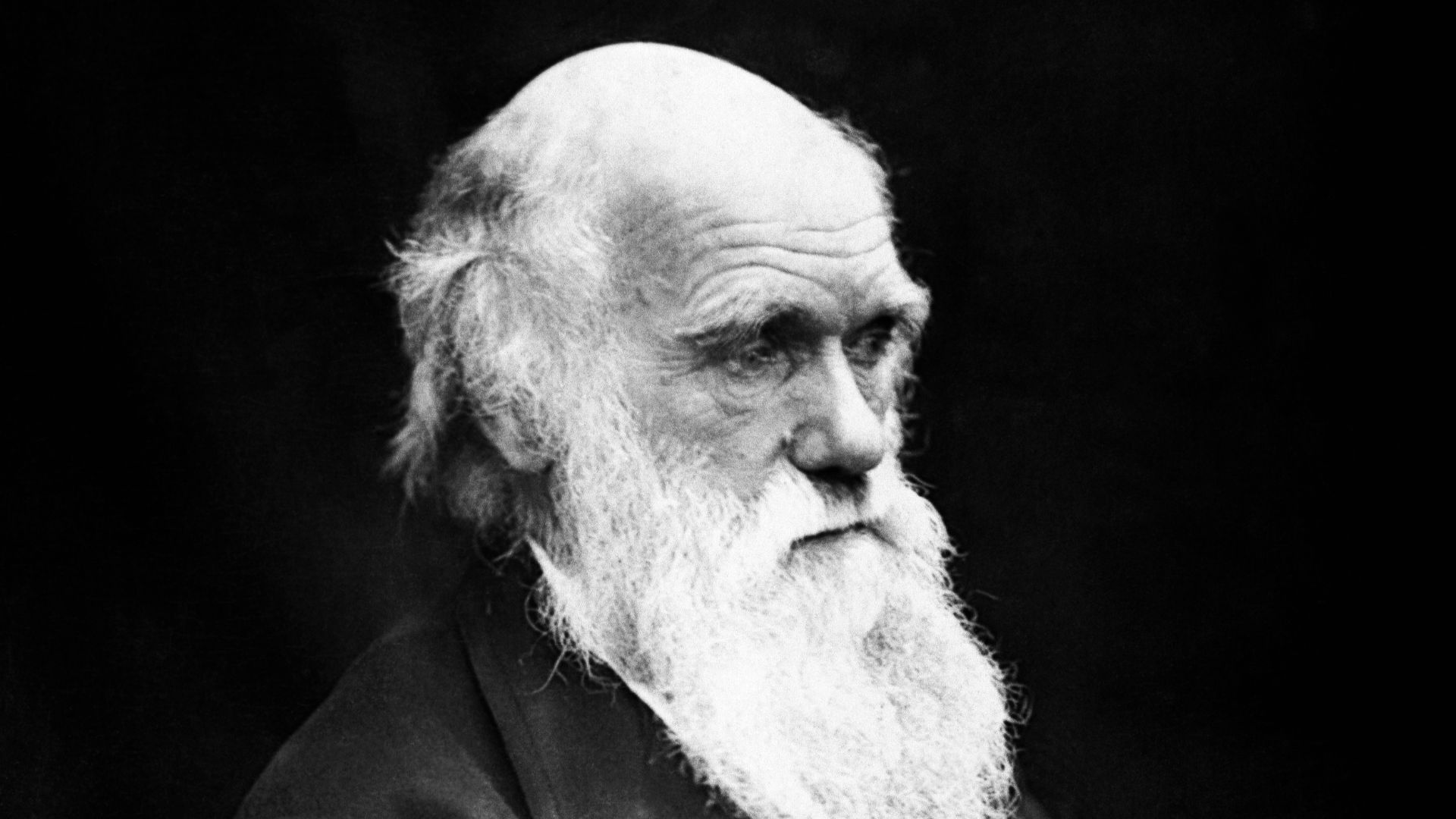 File:Charles Darwin 01.jpg