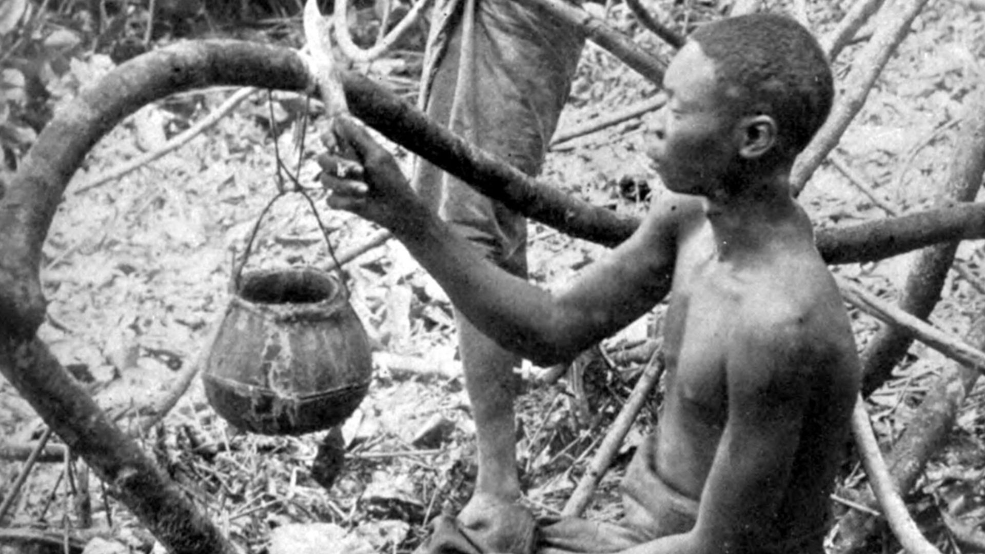 File:StoryoftheCongoFreeState 280.jpg