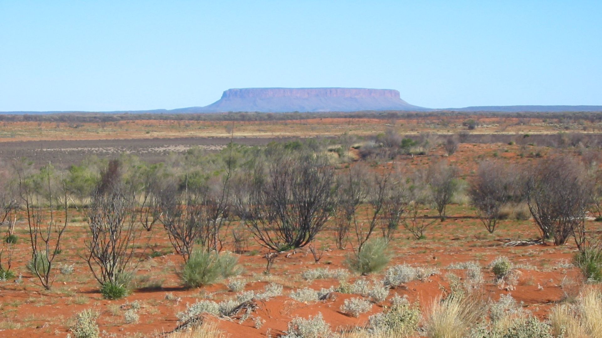 File:Mount Conner, August 2003.jpg