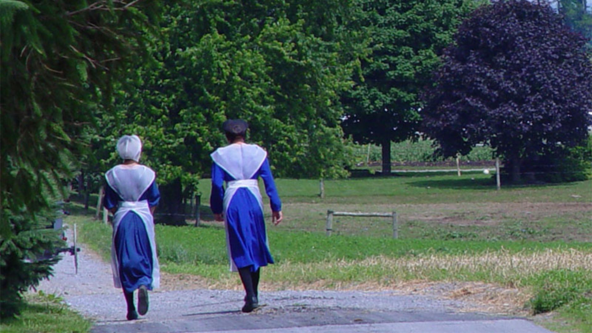 File:Lancaster County Amish 02.jpg