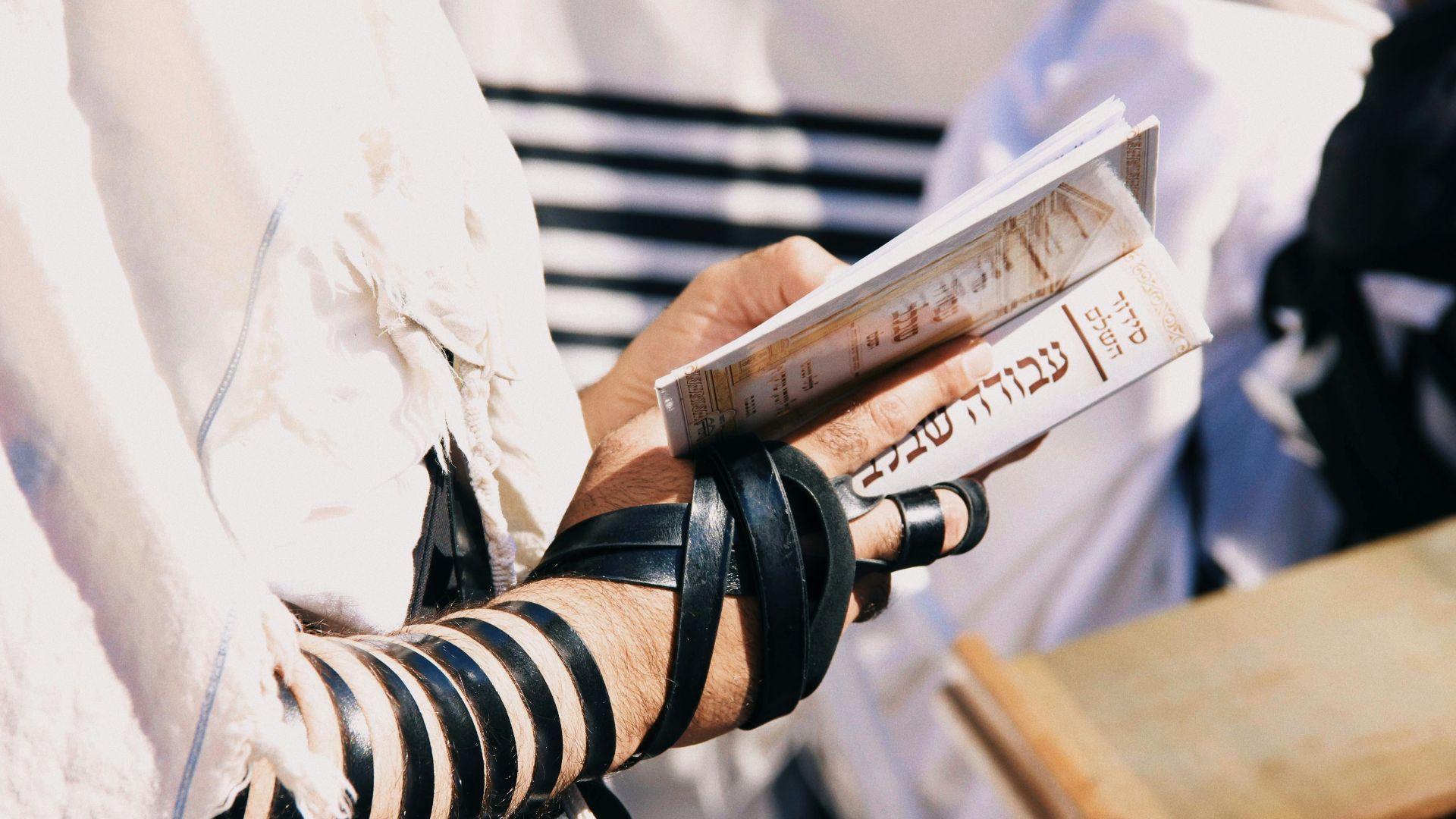 shallow focus photo of person holding book