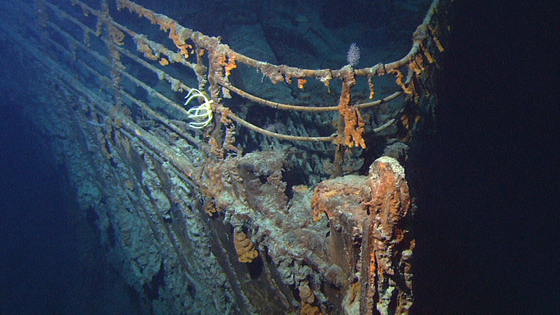 File:Titanic wreck bow.jpg