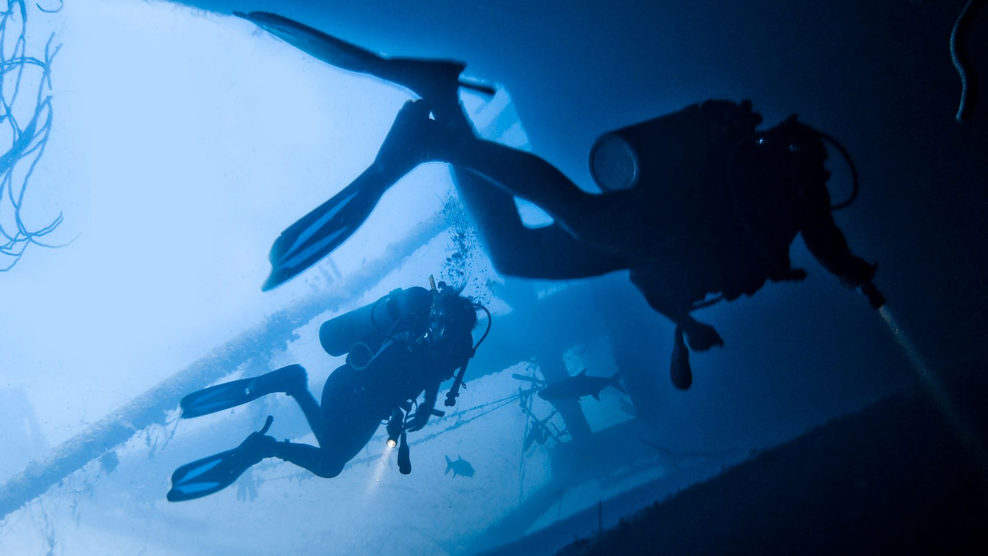 two person scuba diving in water