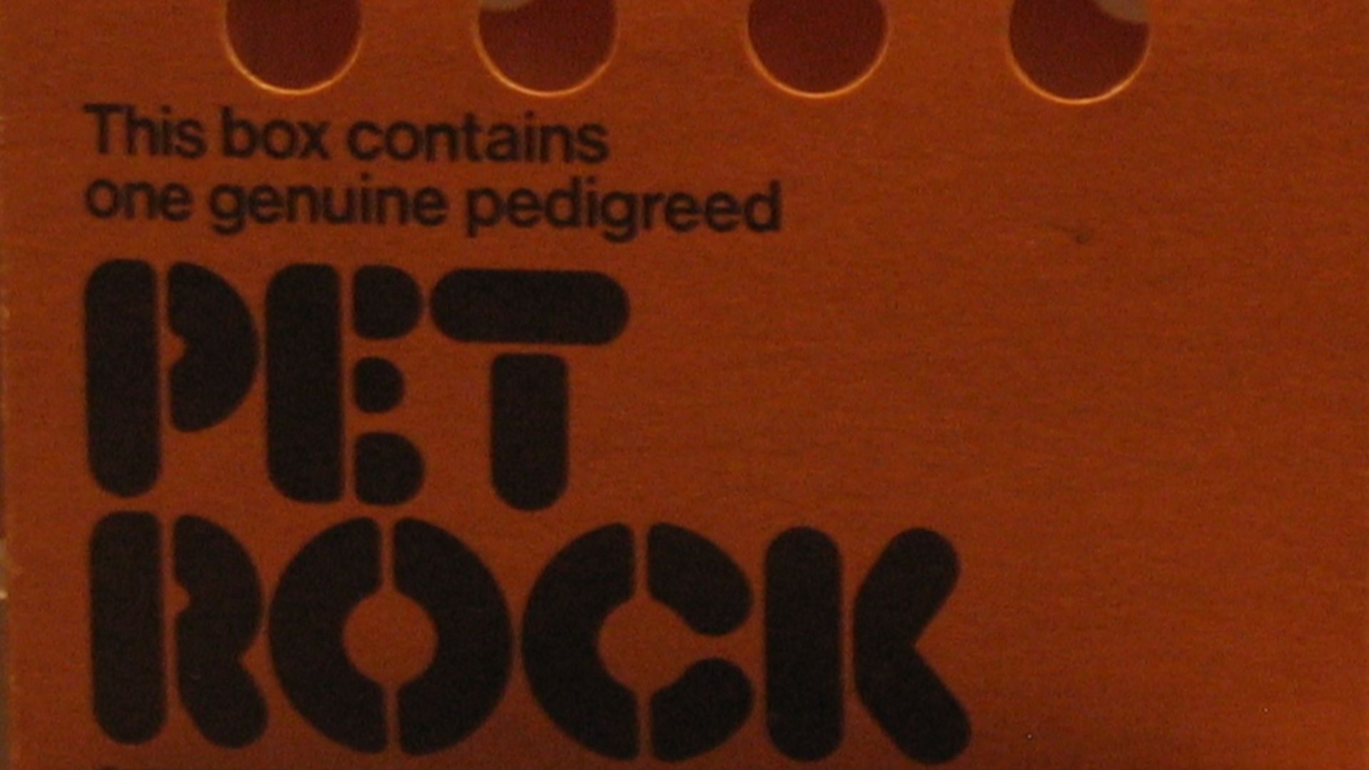 File:PetRock Box.jpg