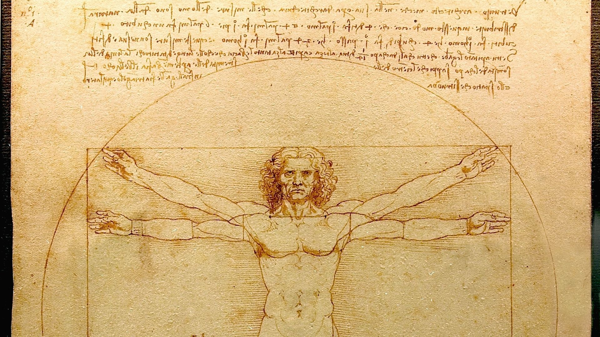 File:Da Vinci Vitruve Luc Viatour.jpg