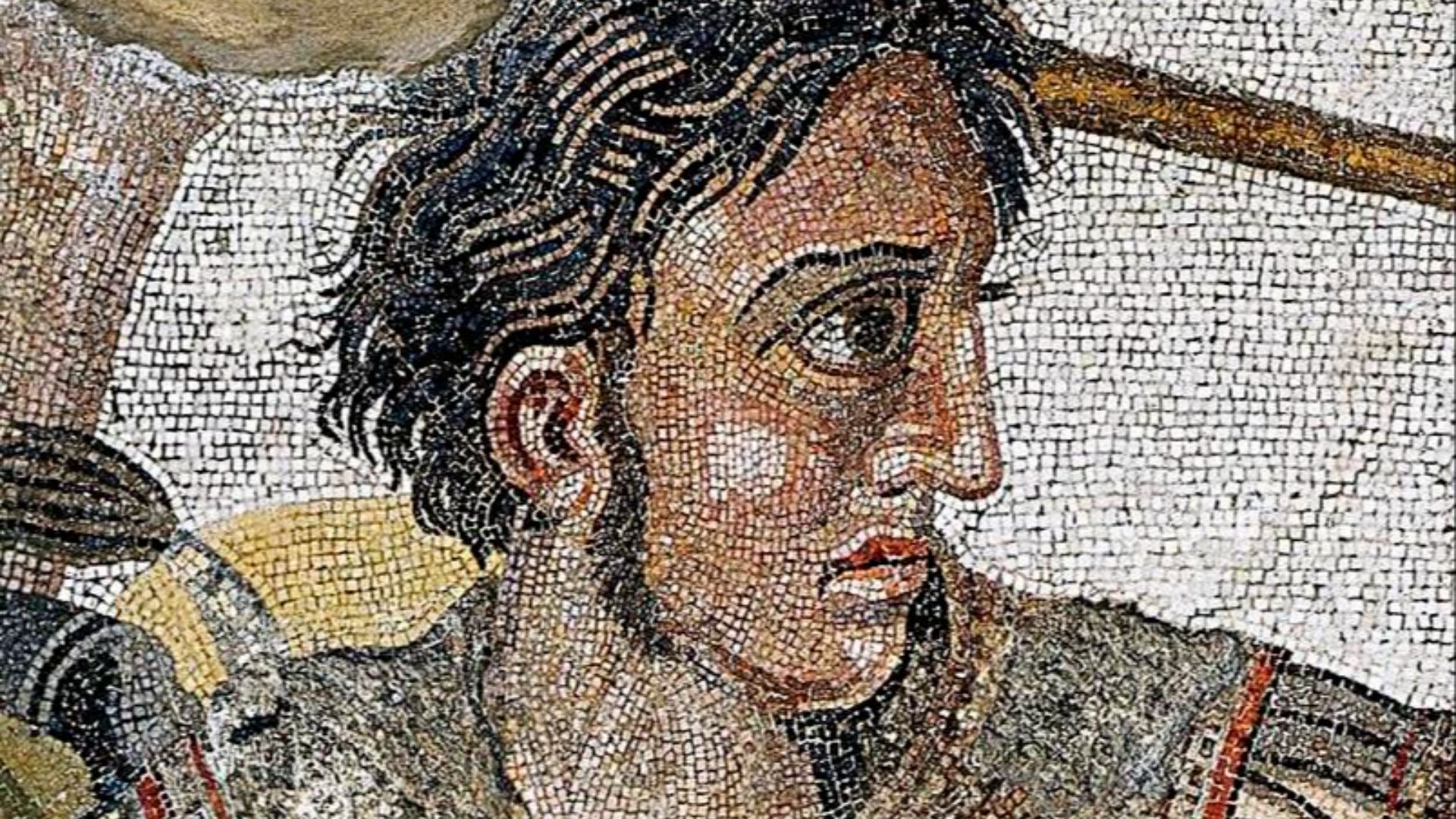 File:Alexander the Great mosaic (cropped).jpg