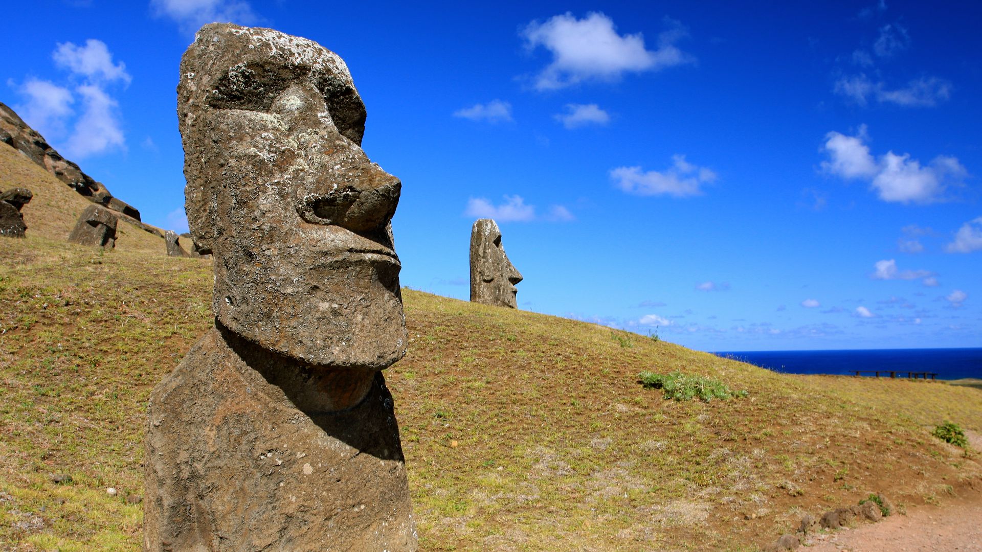 File:Moai at Rano Raraku - Easter Island (5956405142).jpg