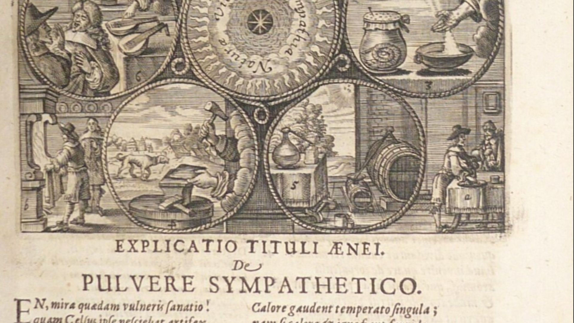 File:De Pulvere Sympathetico.jpg