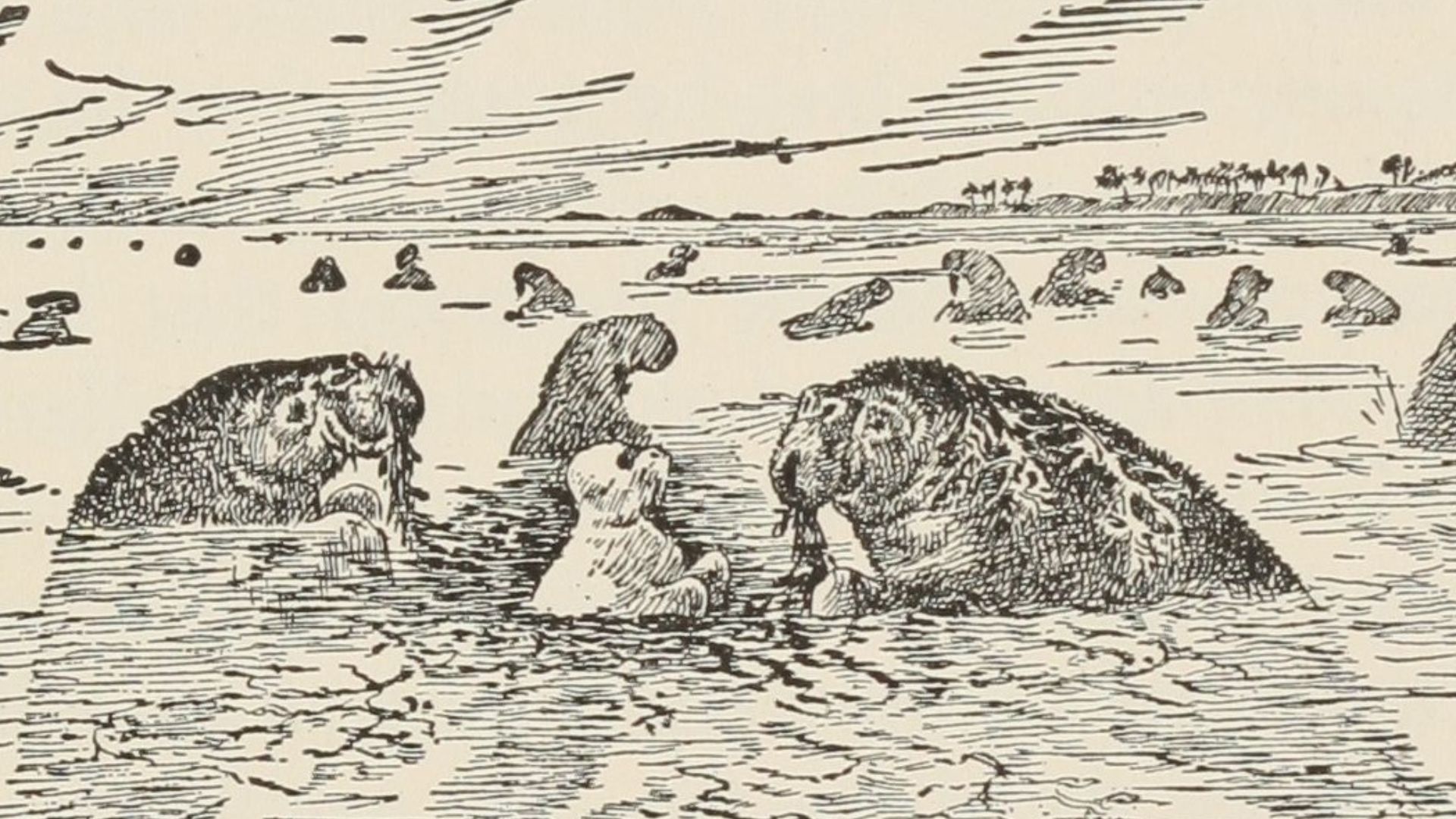 File:T2JB367 - illustration.jpg