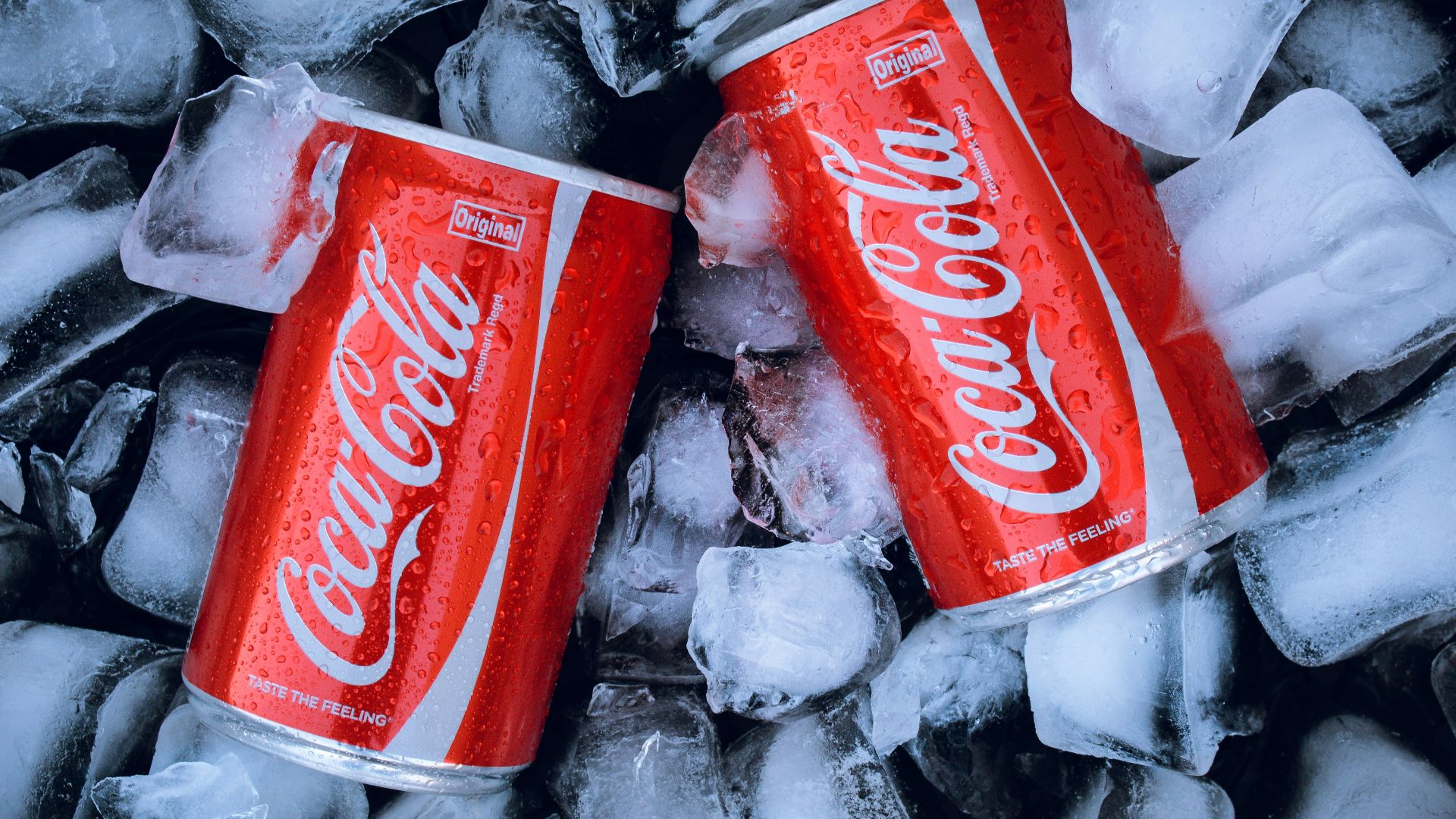 coca cola can on ice
