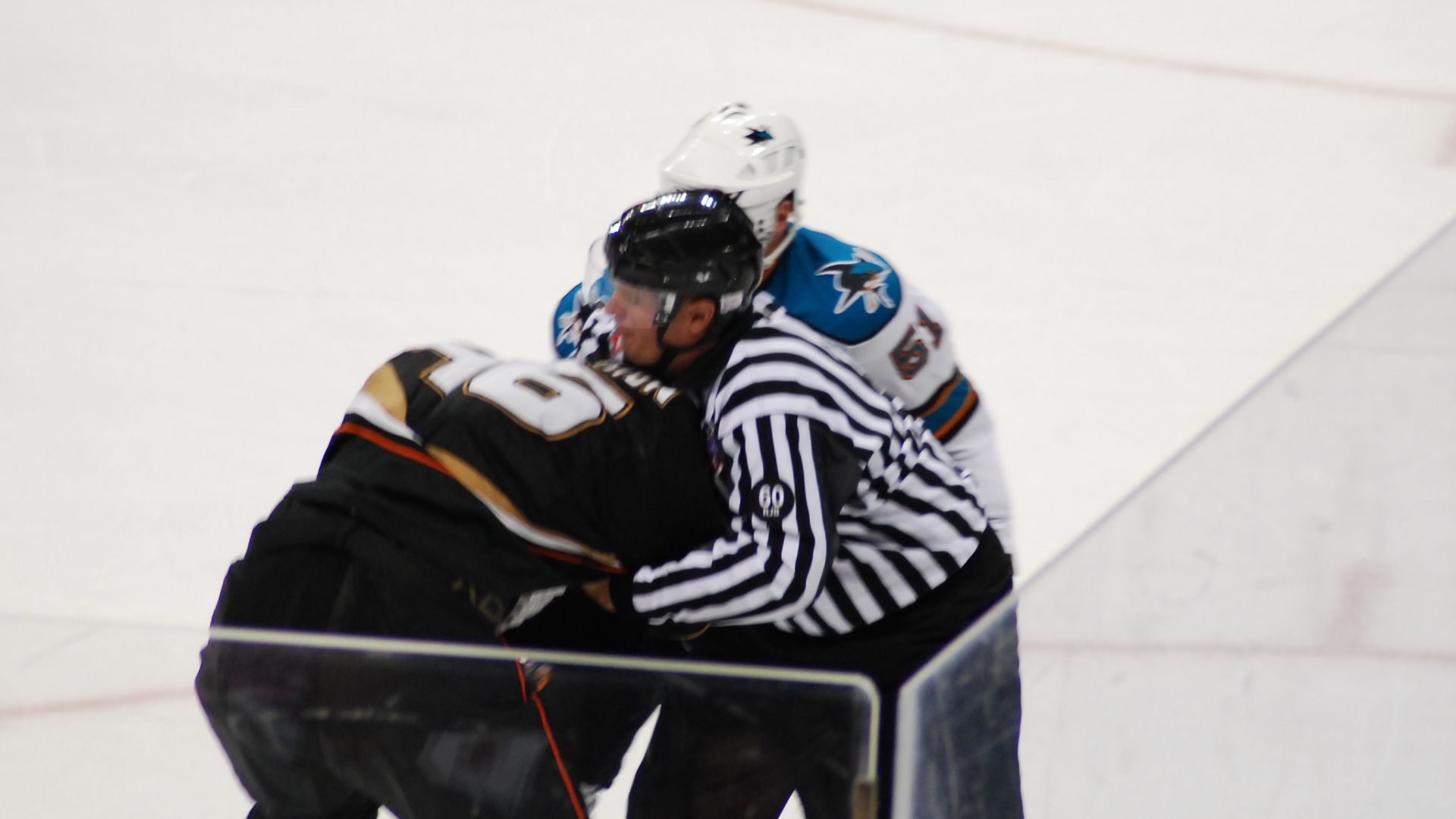 File:EM NHL-DUCKS VS. SHARKS (2864211357).jpg