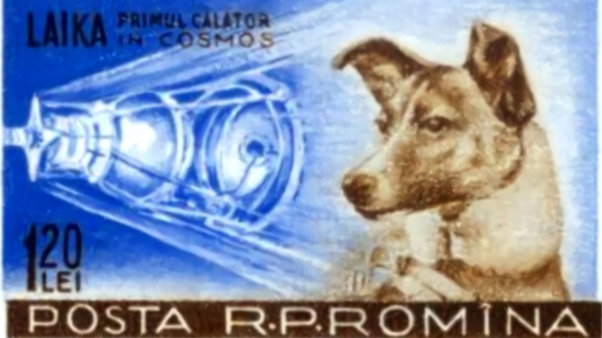 File:Posta Romana - 1959 - Laika 120 B.jpg
