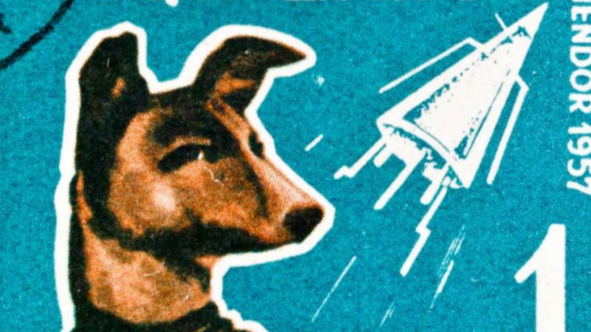 File:Albania-stamp-shqiperia-laika-dog.jpg