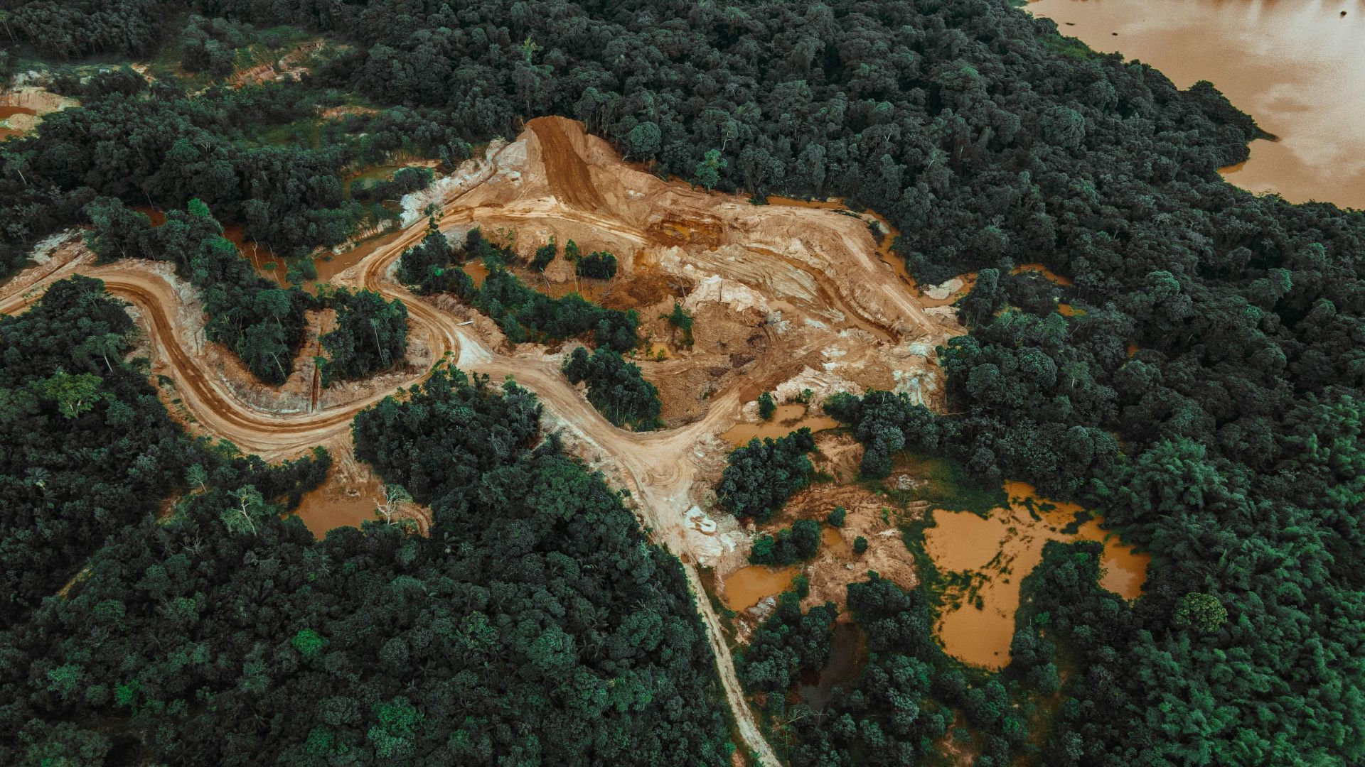 an aerial view of a dirt road in the middle of a forest