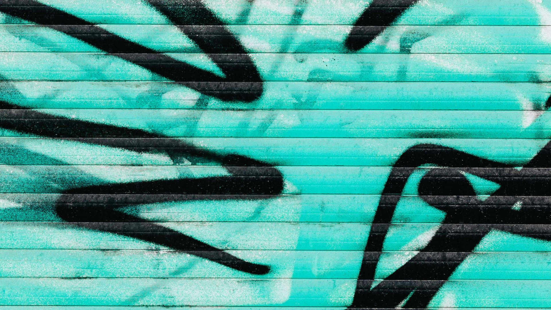 selective focus photography of gratify wall