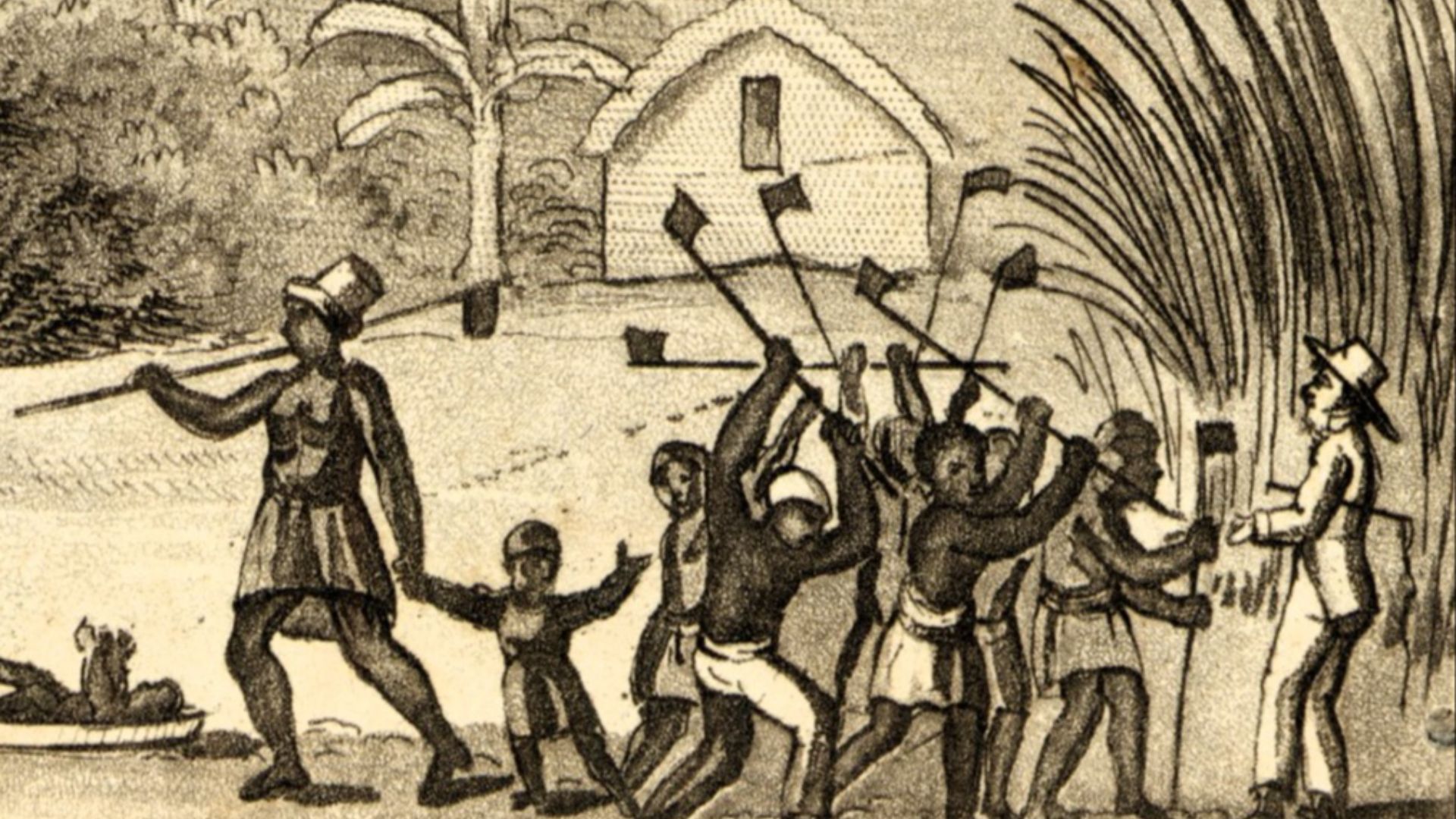 File:African Slaves working in a sugar plantation in Barbados, 1807-1808.jpg