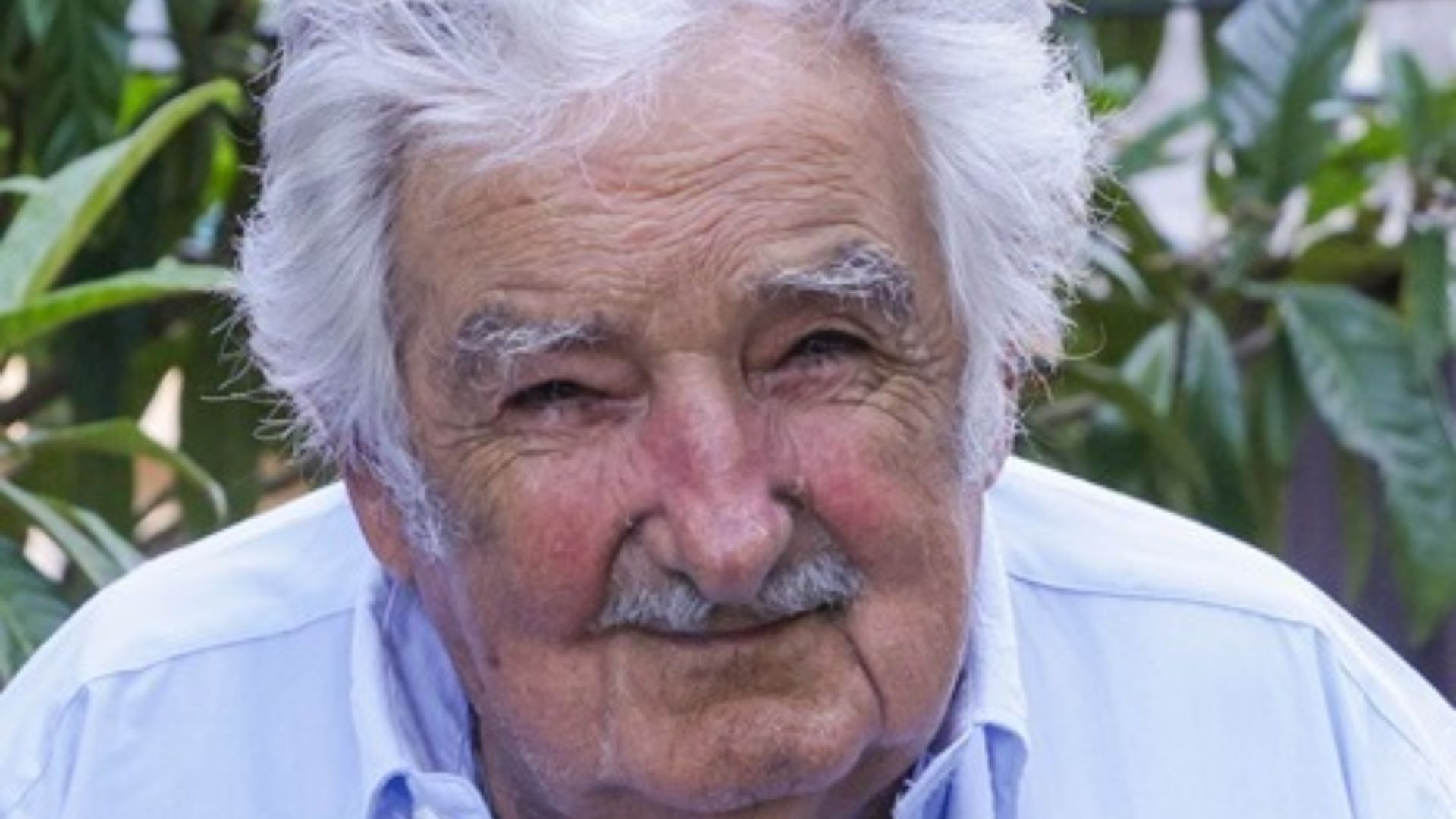 File:José Mujica 2023.jpg
