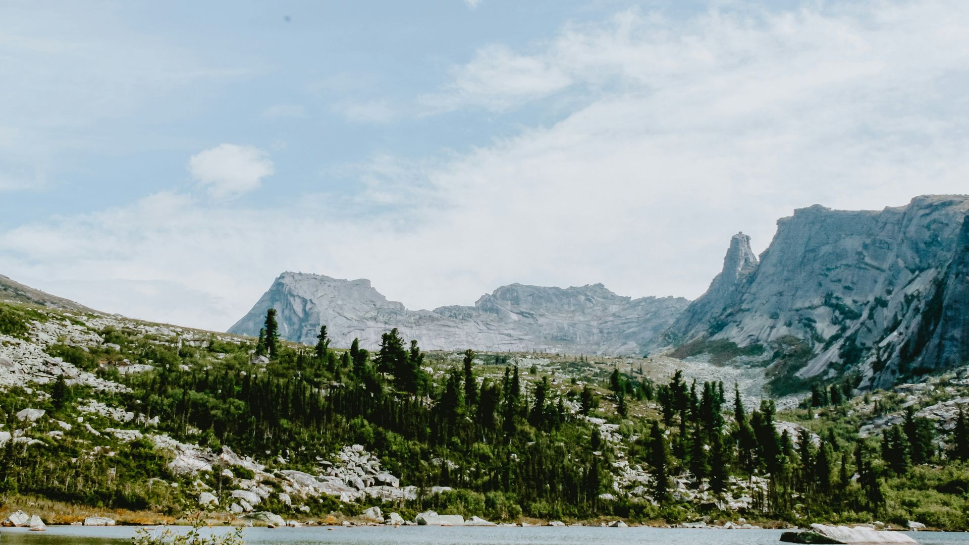 green trees near mountain under white sky during daytime