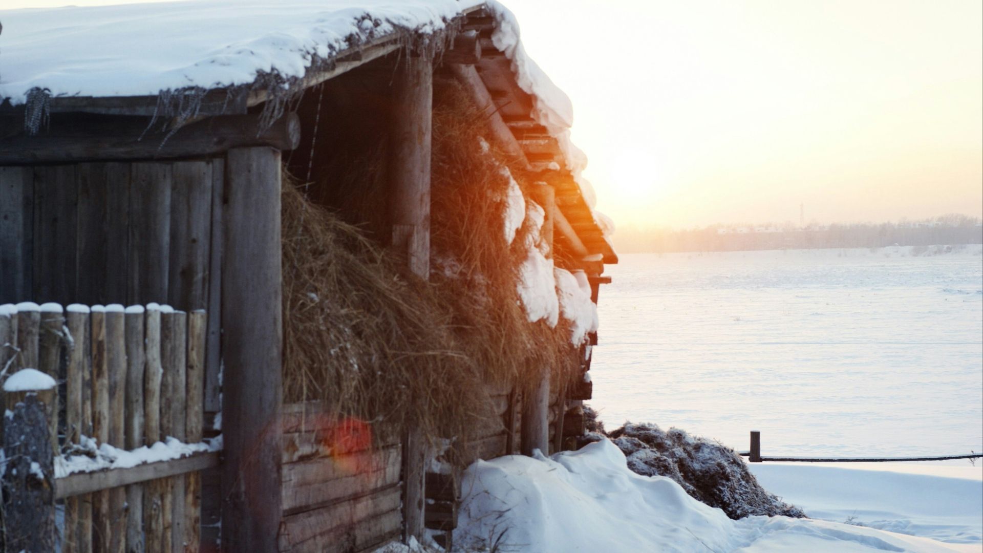 brown wooden house covered with snow during daytime