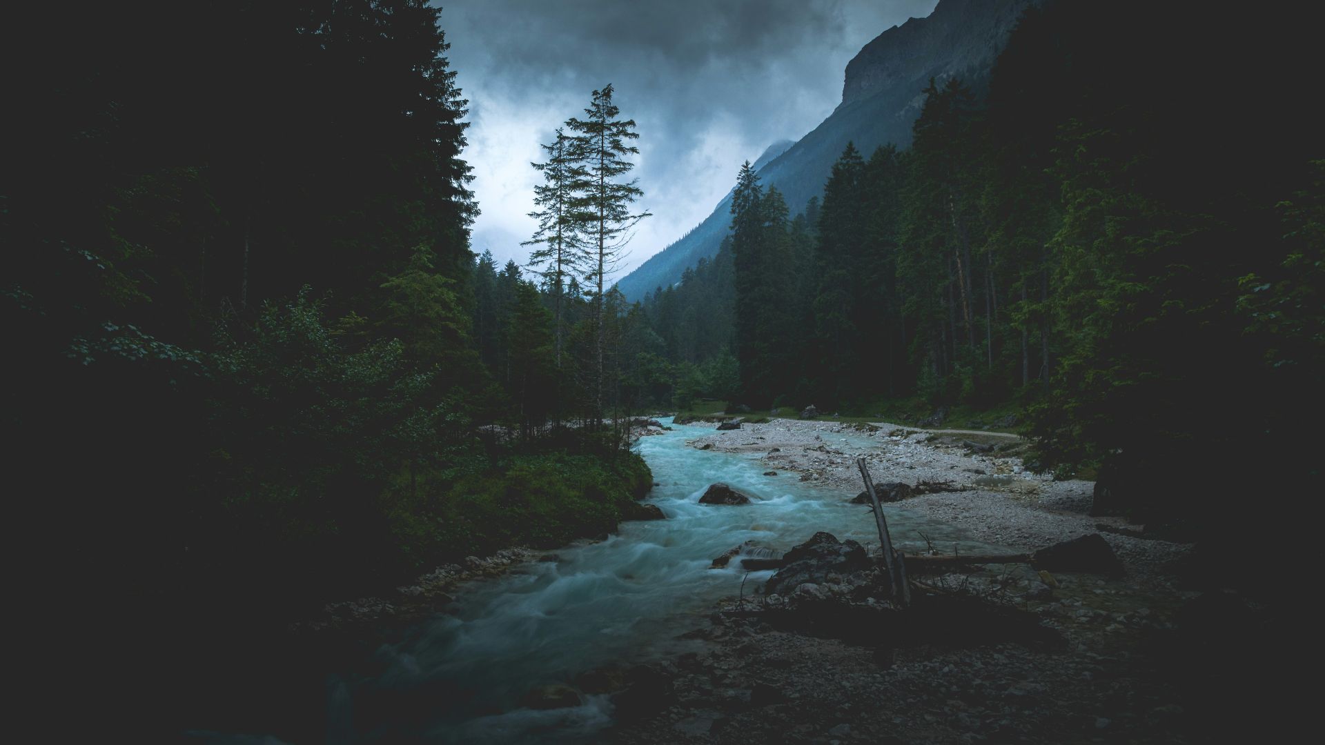 flowing river between tall trees