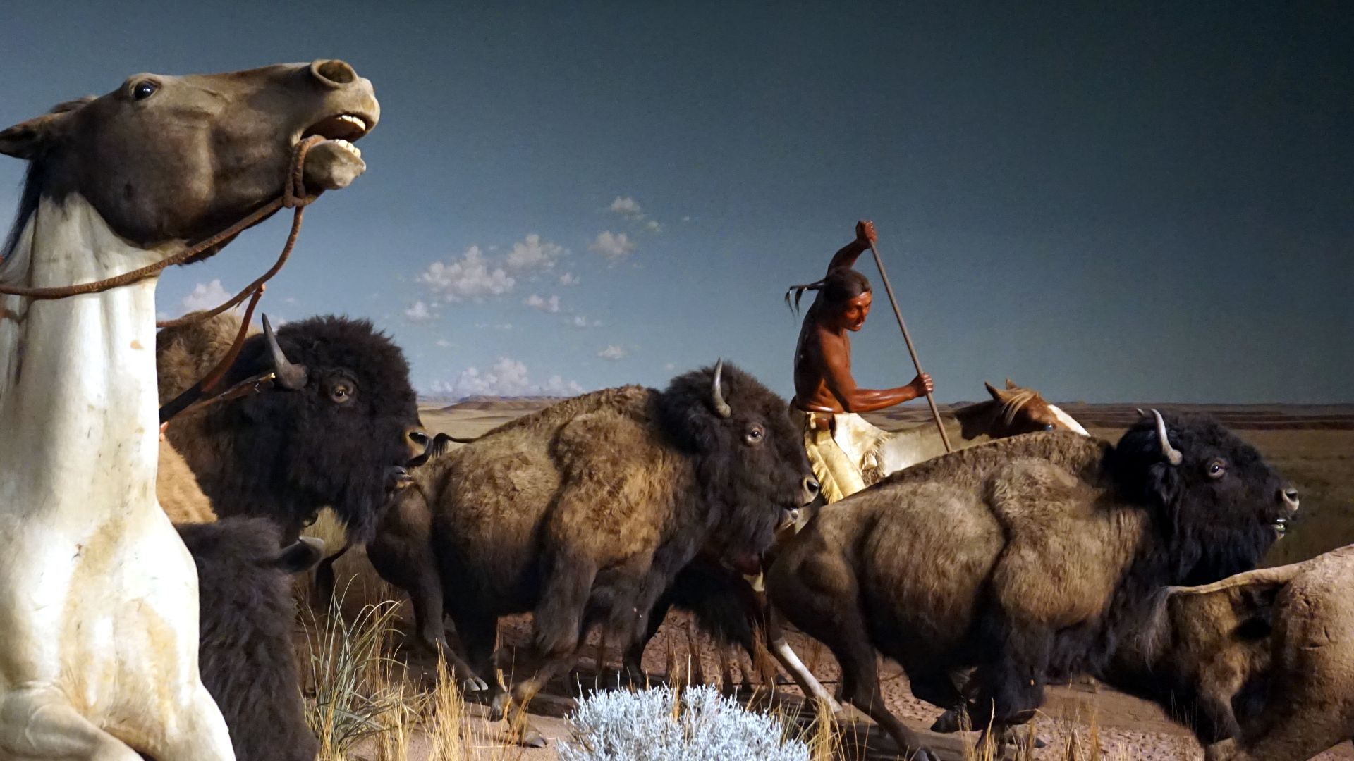 File:Milwaukee Public Museum November 2022 075 (Crow Indian Bison Hunt).jpg
