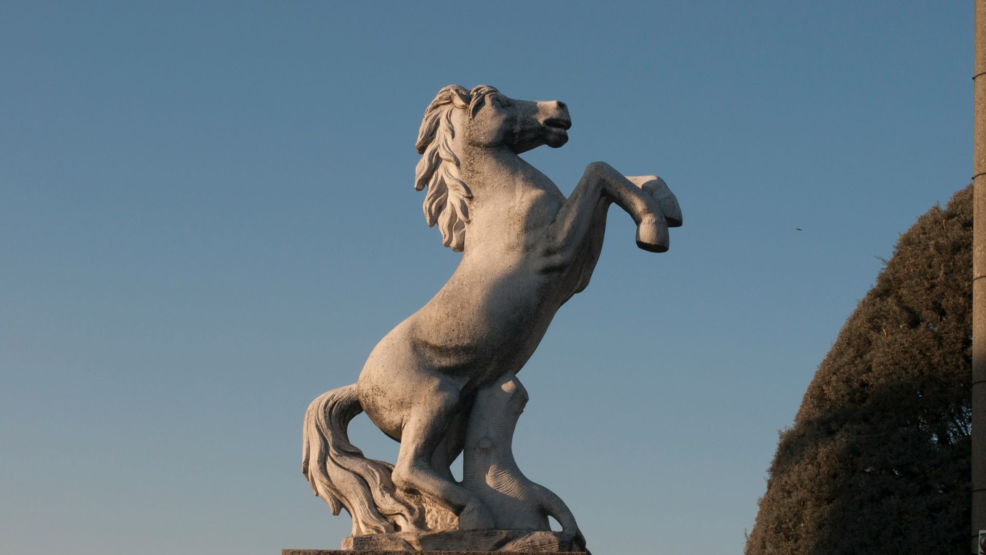 A statue of a horse on its hind legs