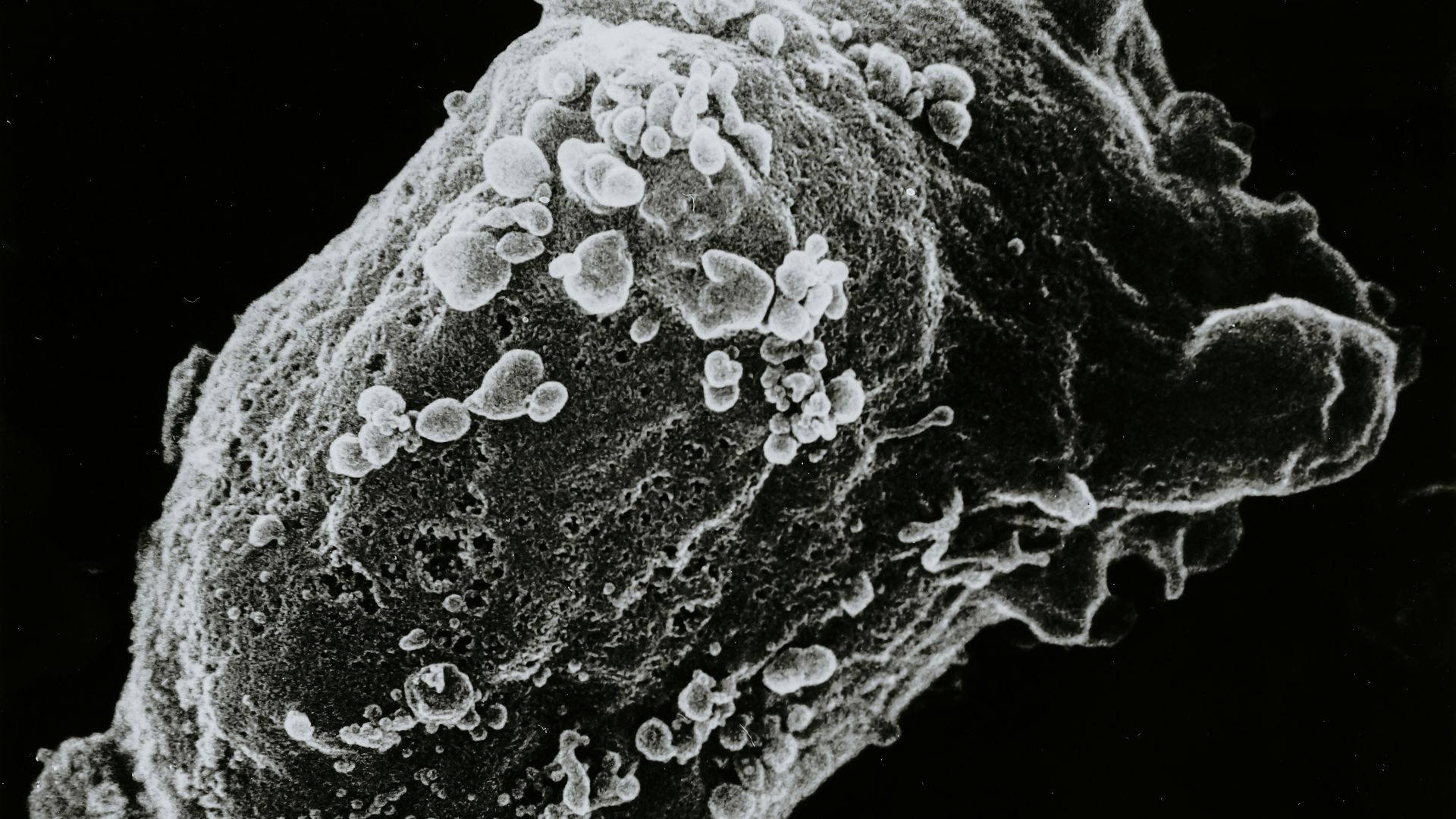 water splash on white background