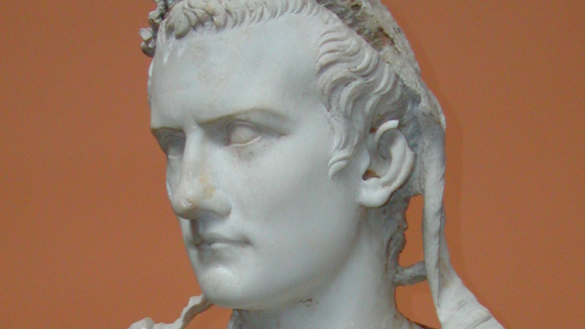 File:Gaius Caesar Caligula.jpg