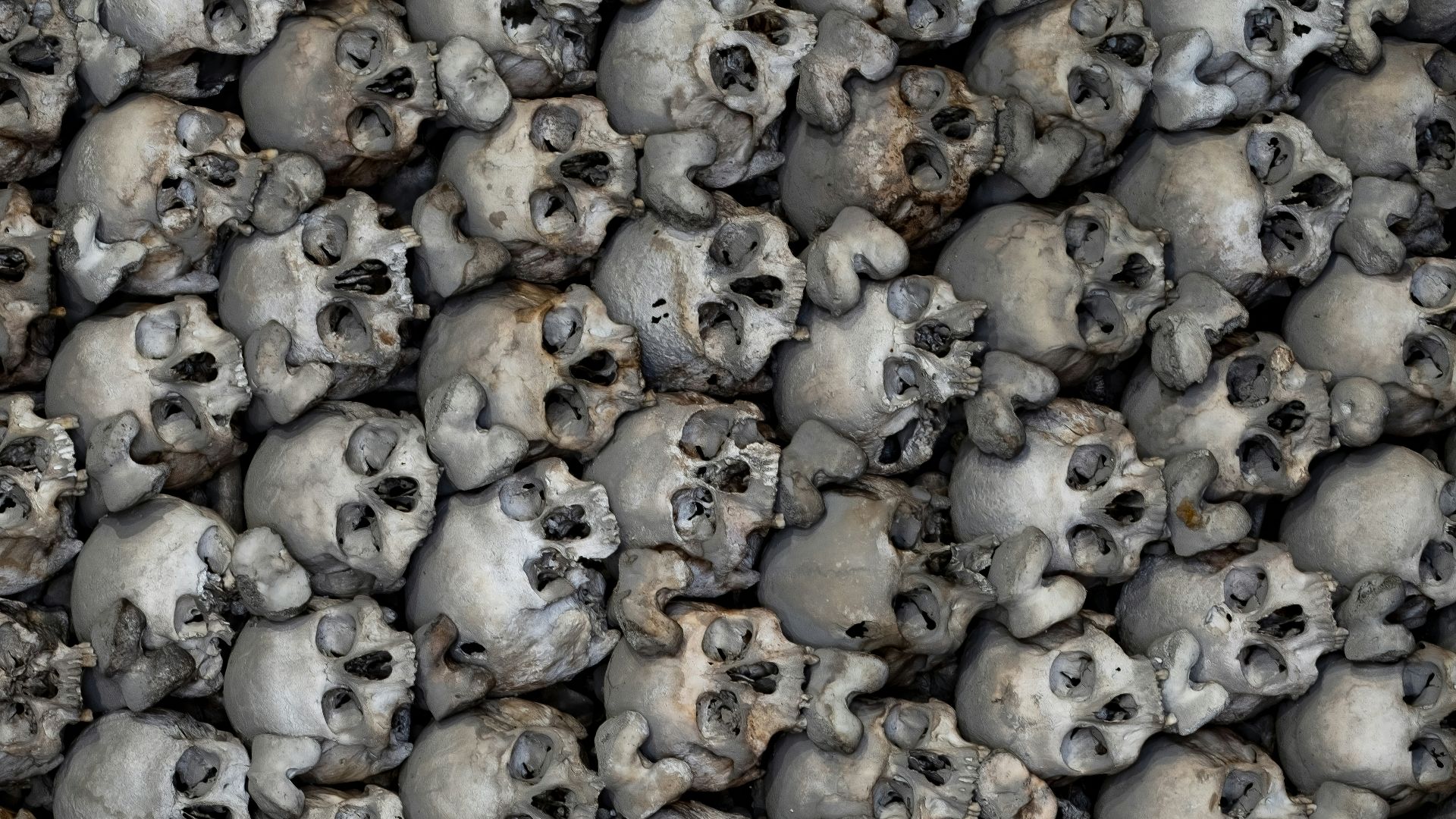 skull digital wallpaper