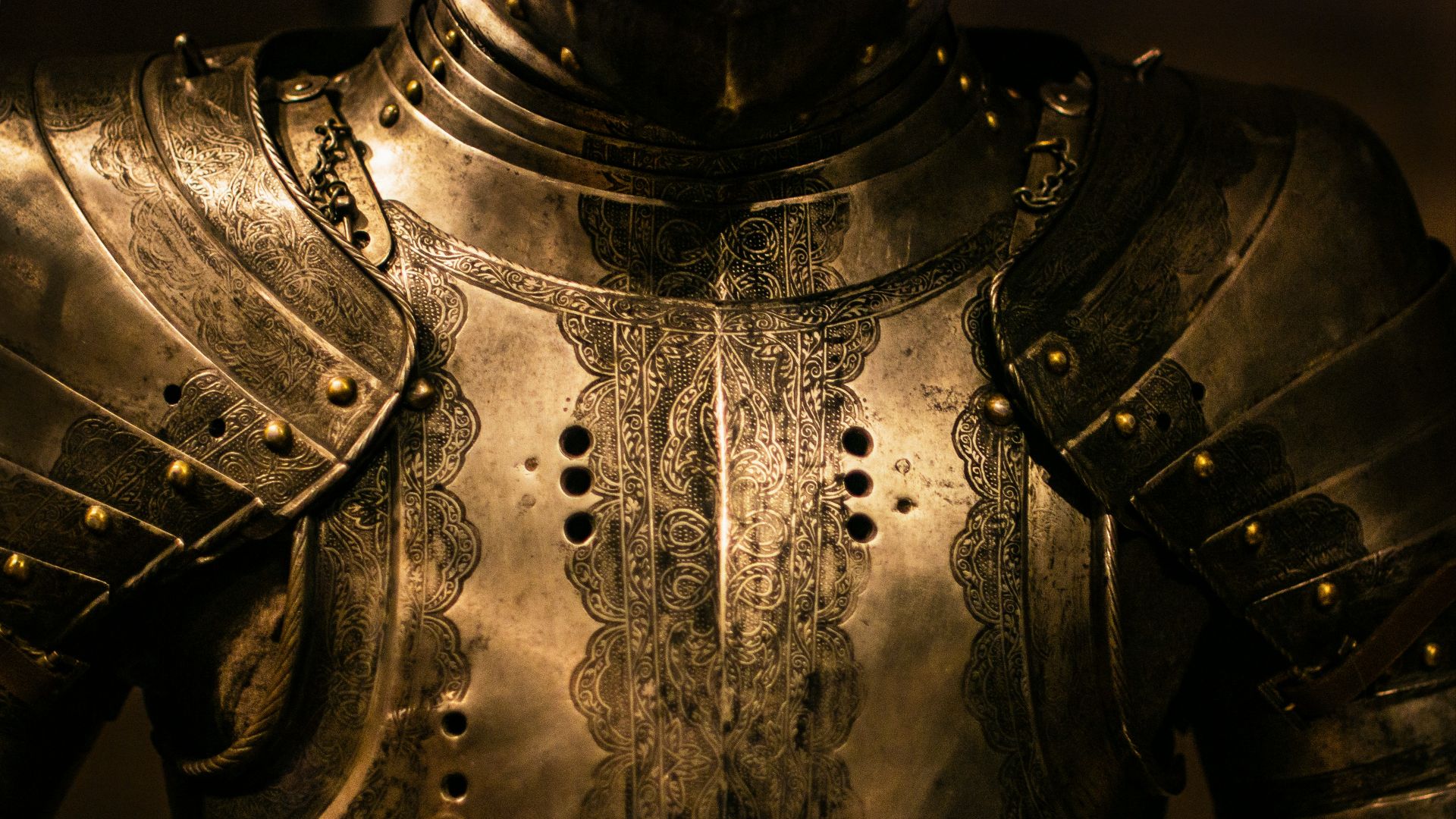 gray stainless steel armor