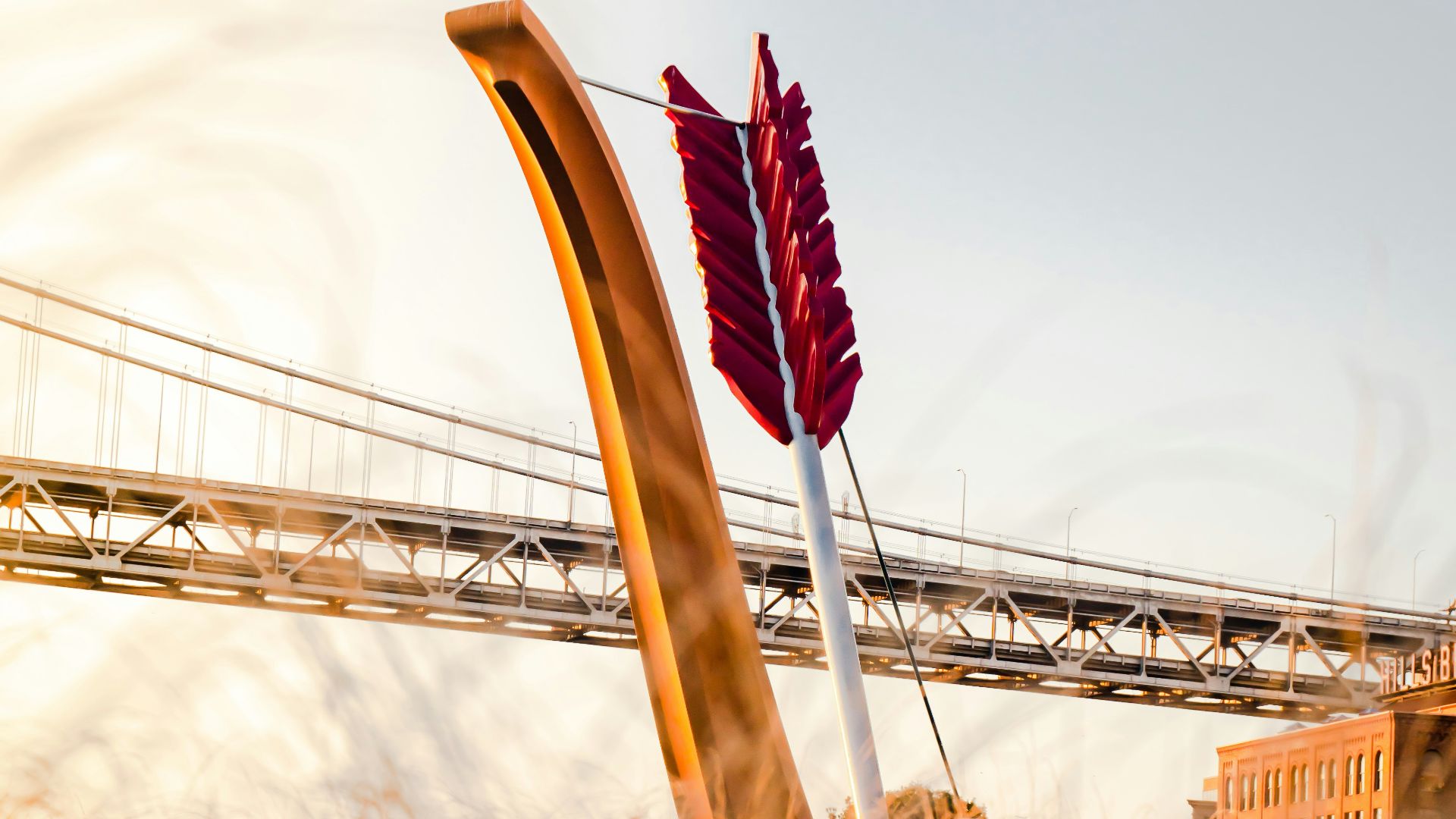 yellow bow and white arrow macro photography
