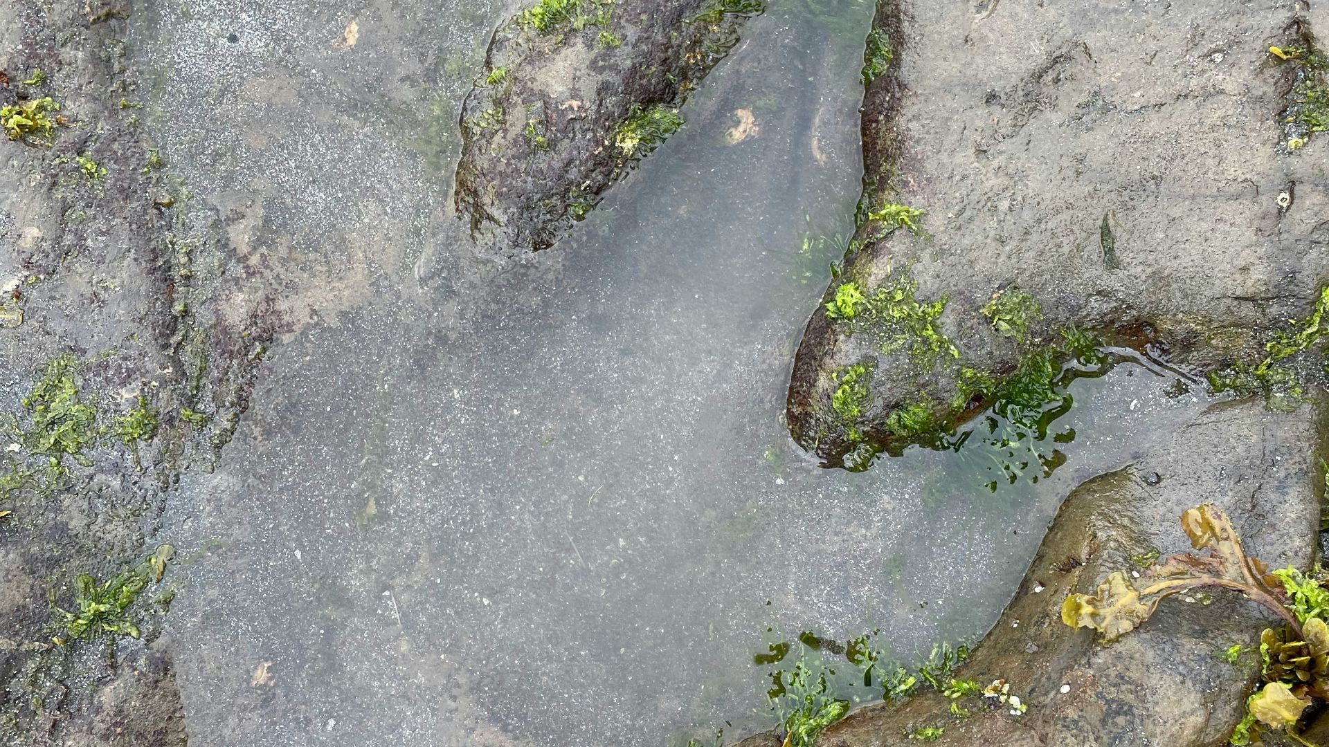 a close-up of some rocks