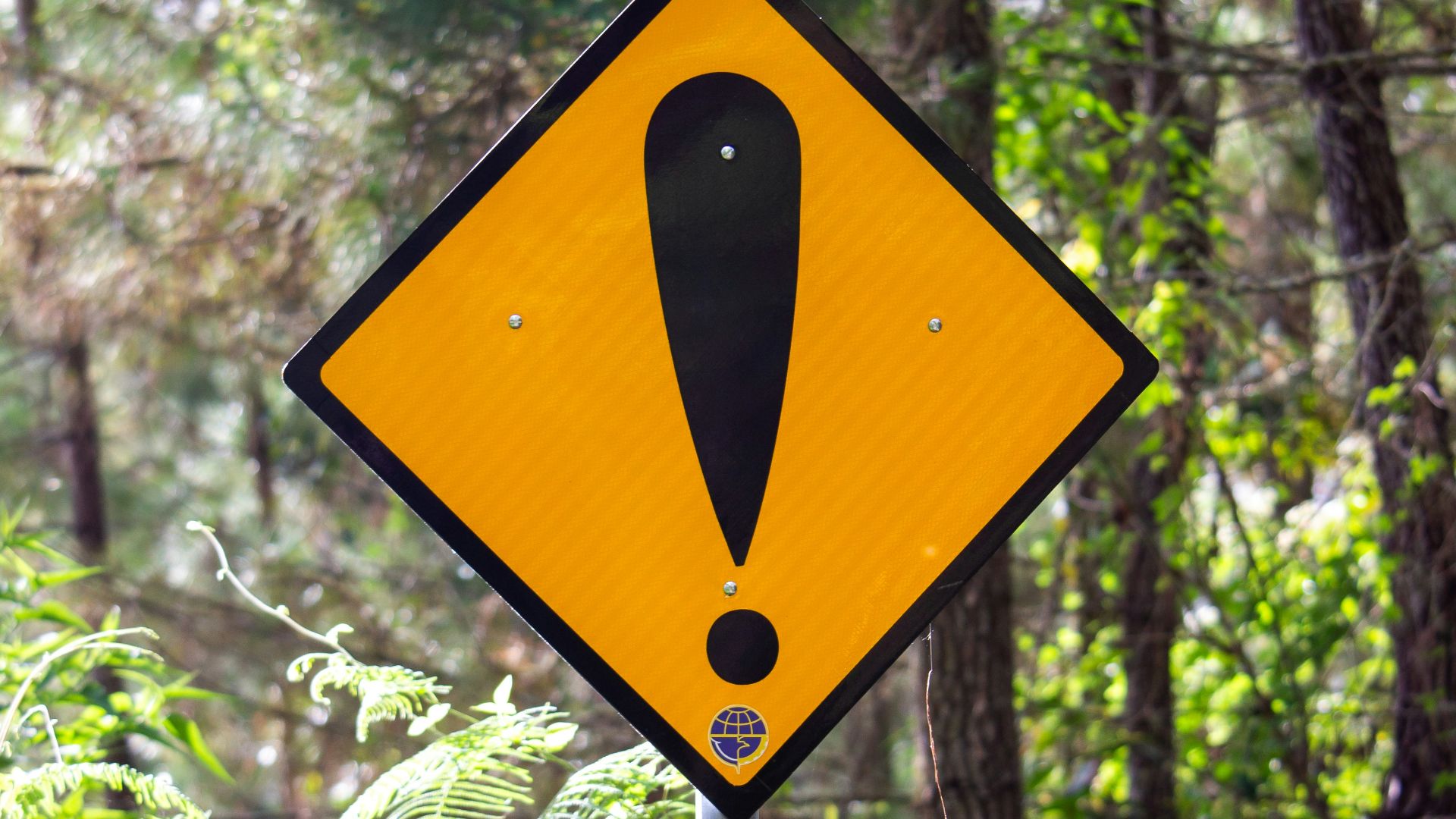 yellow and black road sign