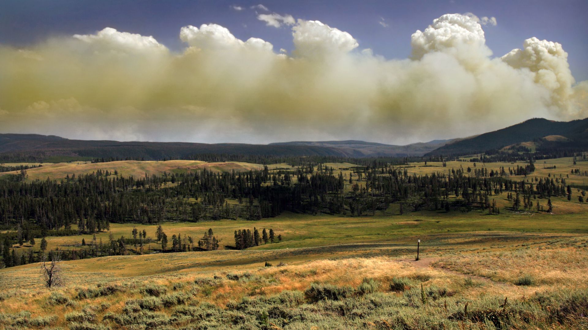 File:Wildfire in Yellowstone National Park produces Pyrocumulus clouds1.jpg