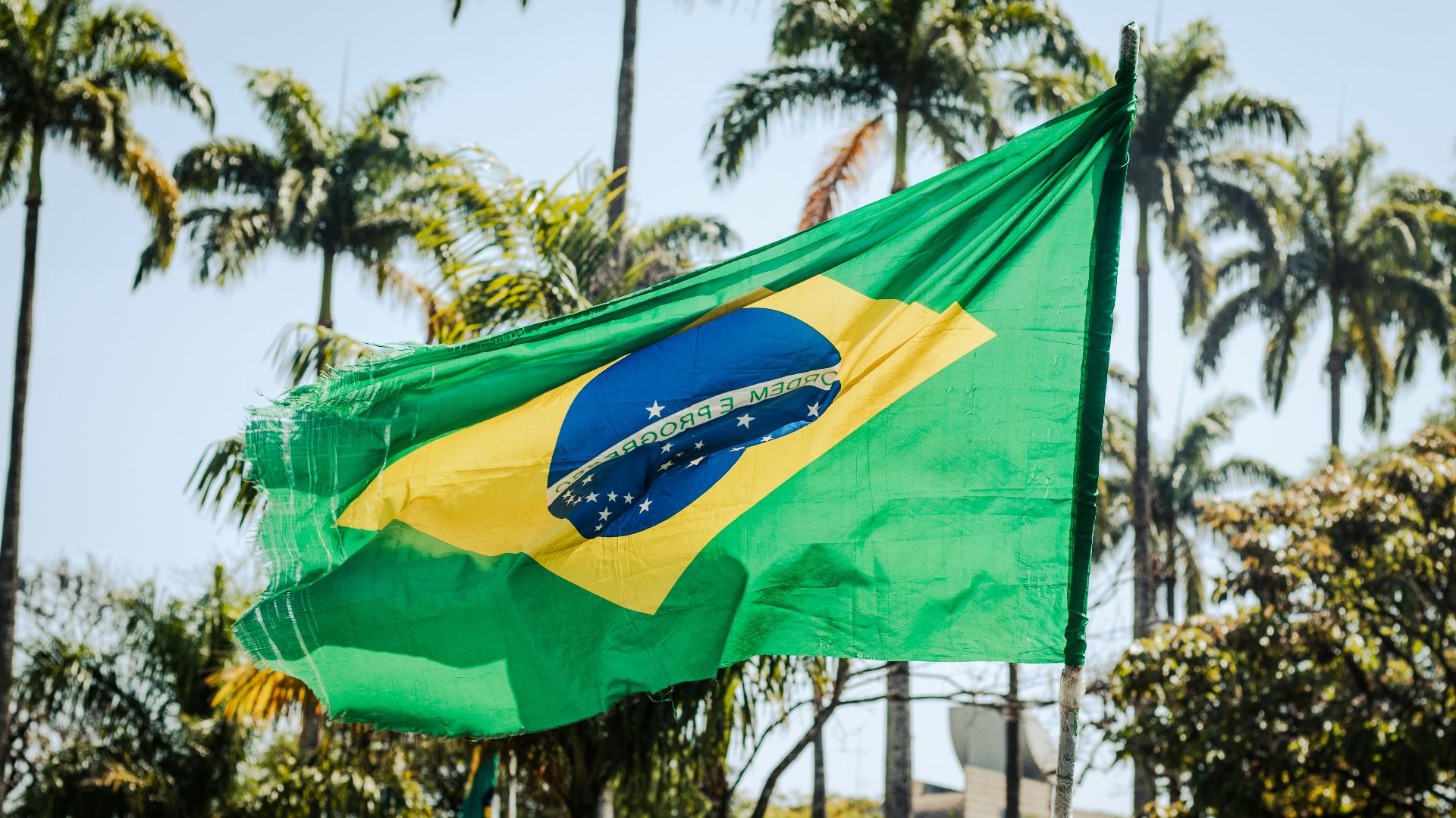a flag flying in the wind with palm trees in the background