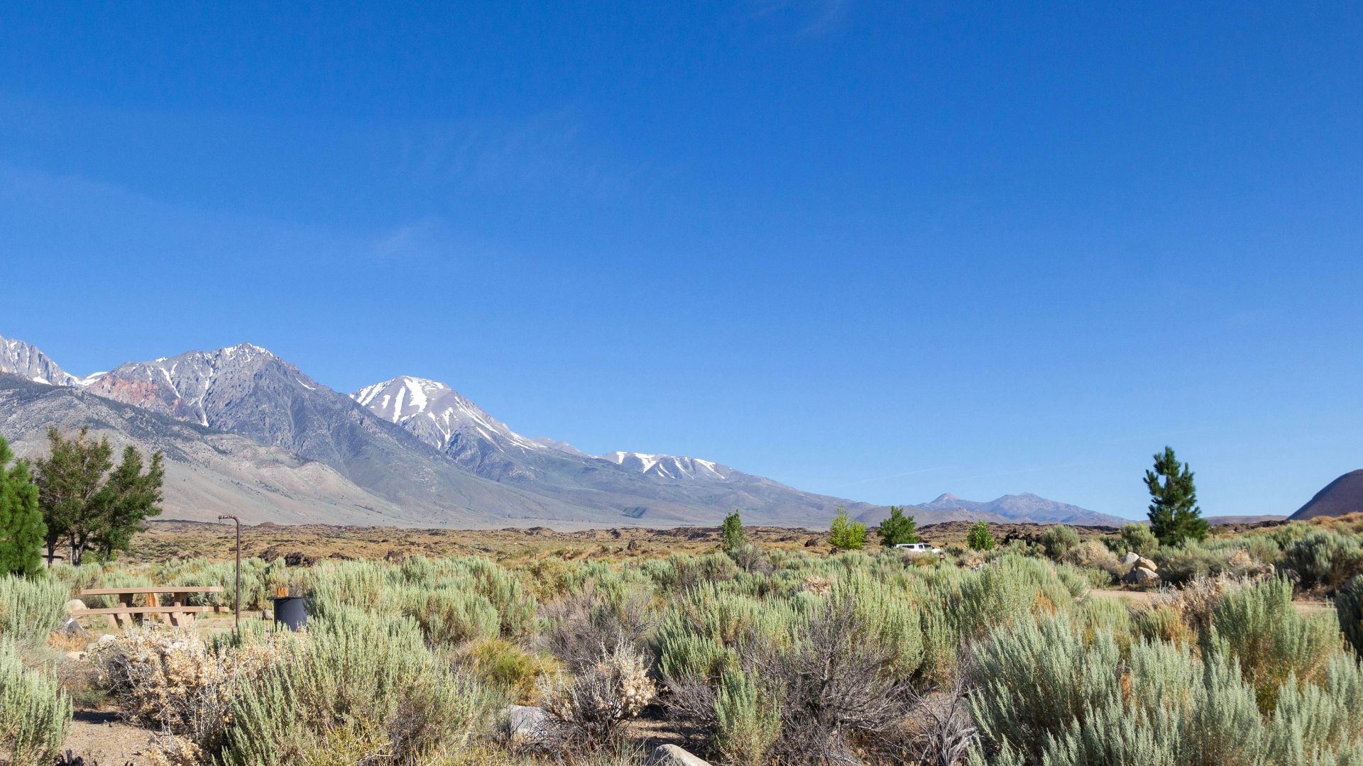 green plants near mountains during daytime