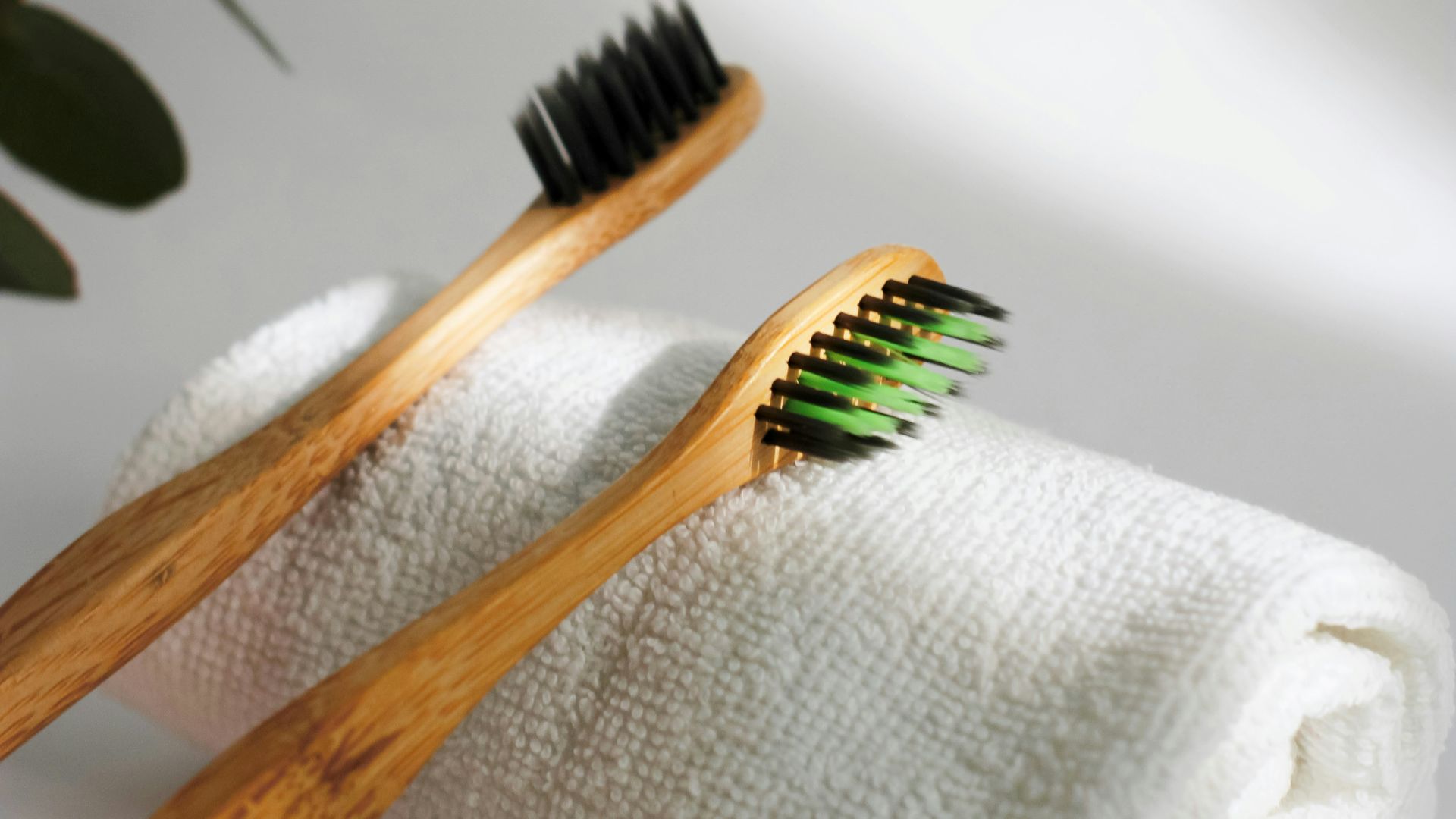 brown wooden handle brush on white textile