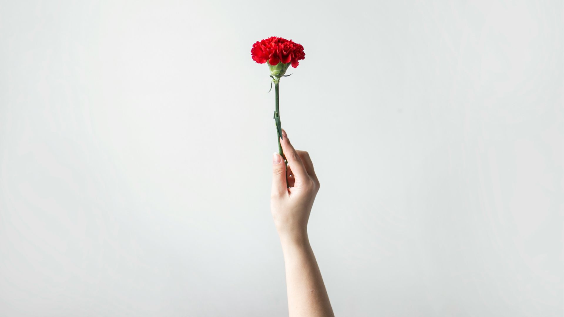 right person's hand holding flower