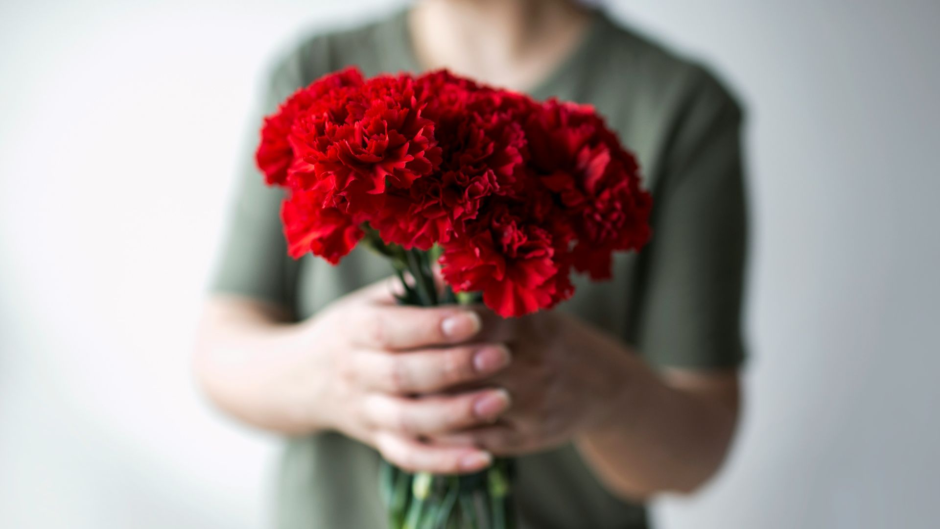 selective focus photography of person holding red rose bouquet