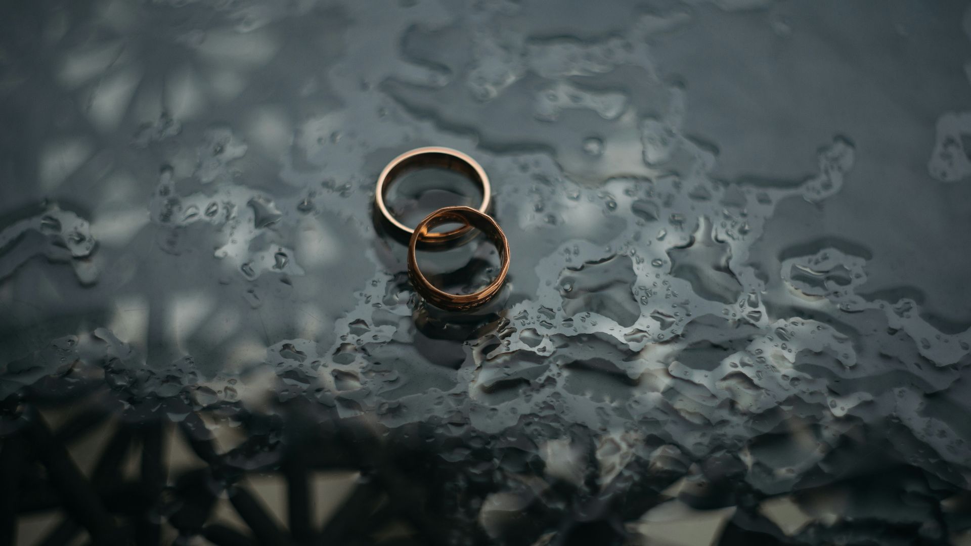 two bronze-colored rings