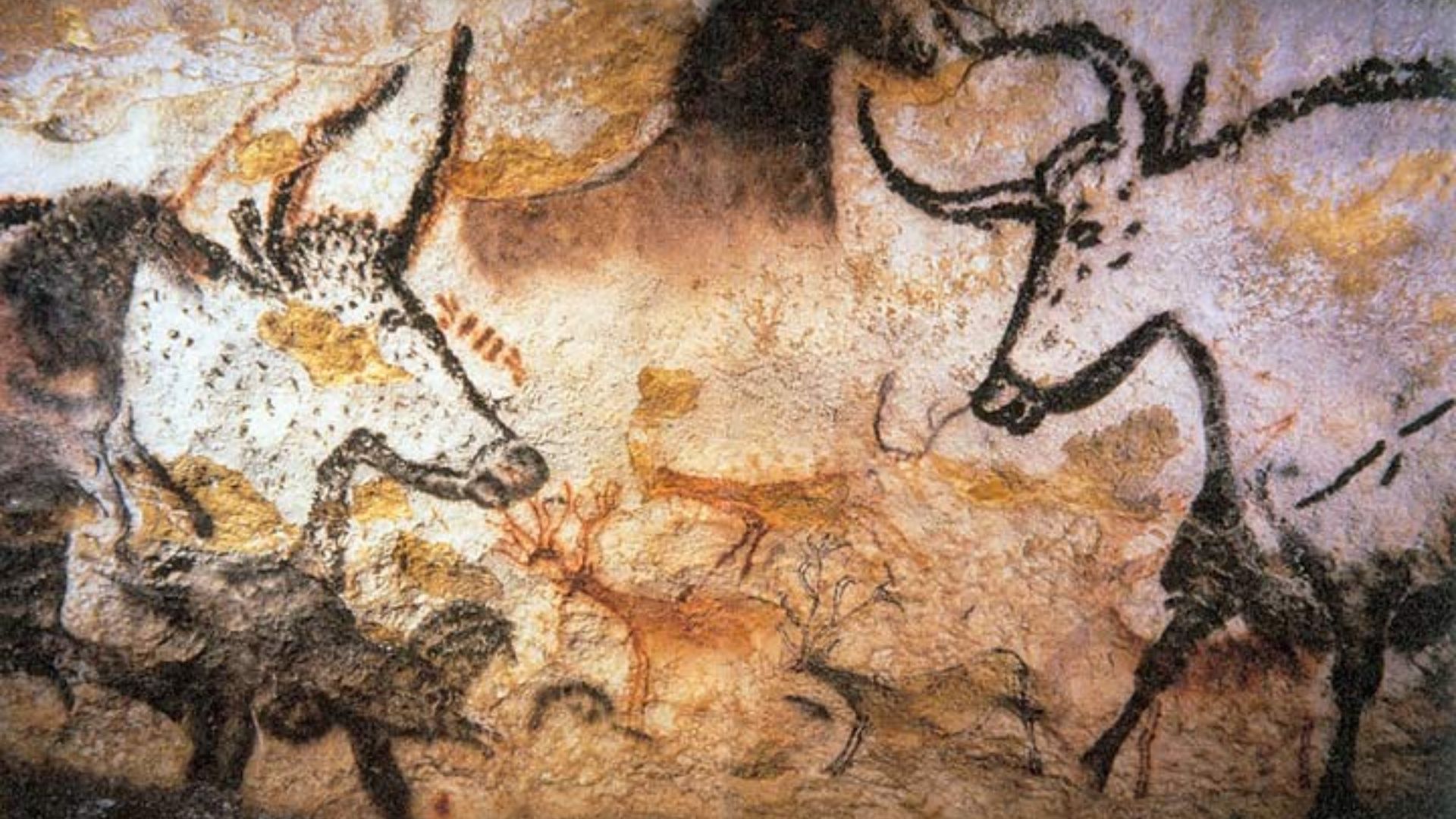 File:Lascaux painting.jpg