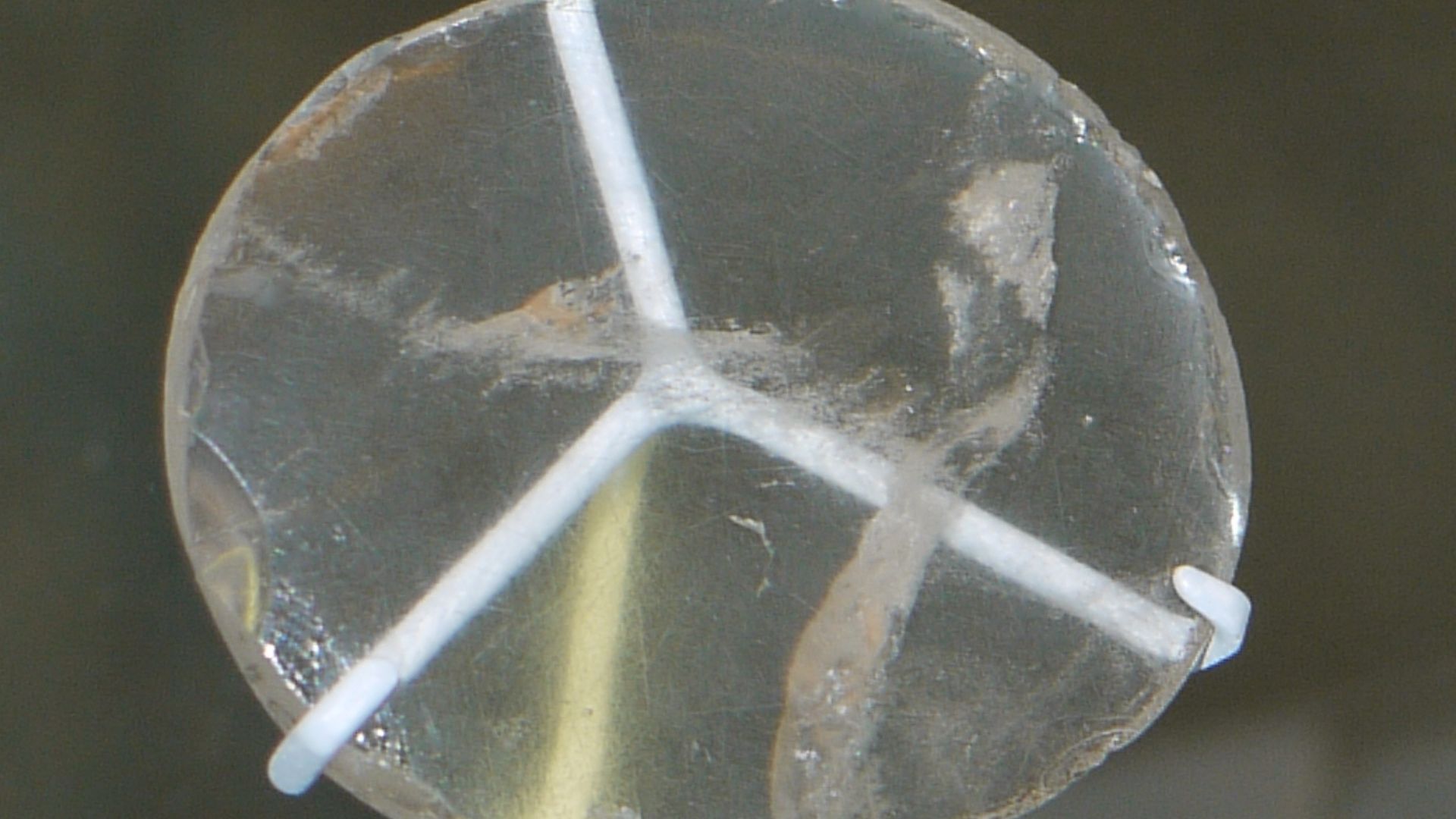 File:Nimrud lens British Museum.jpg