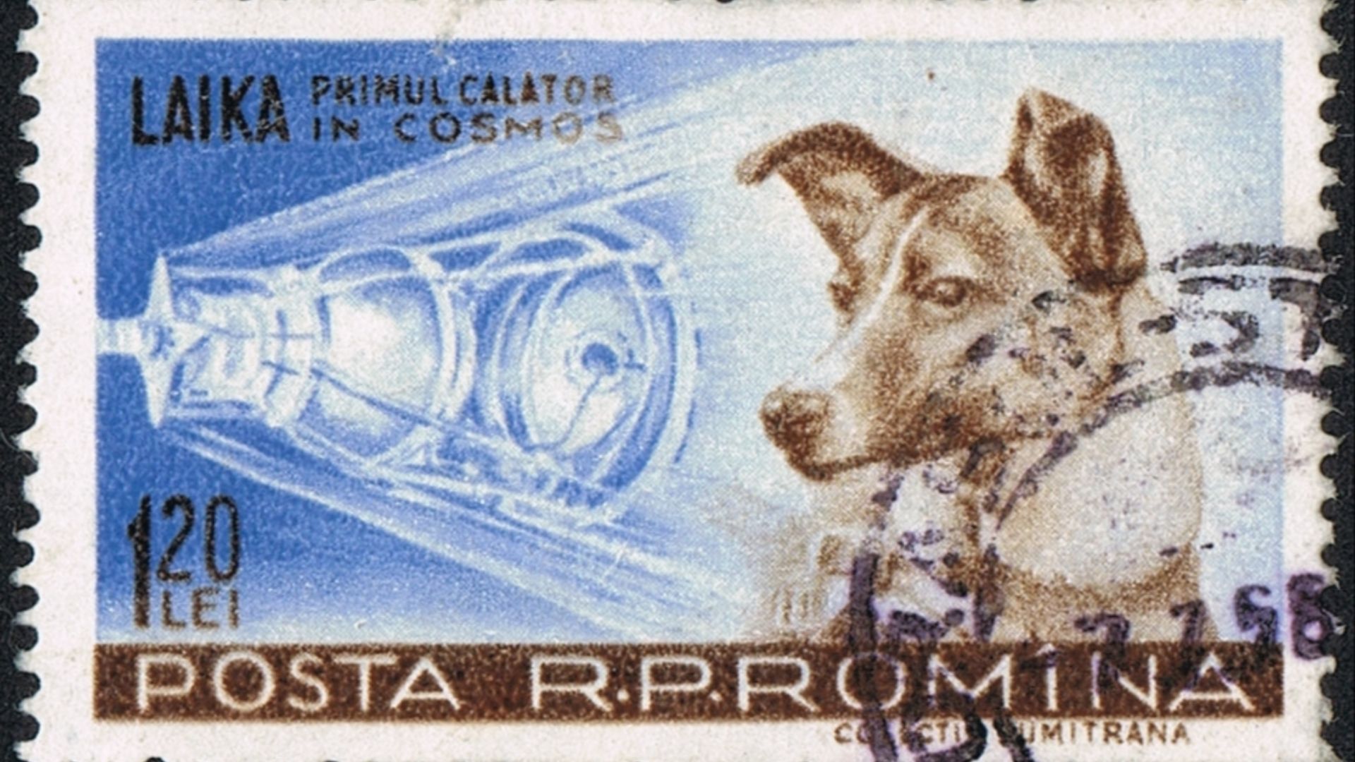 File:Posta Romana - 1959 - Laika 120 B.jpg