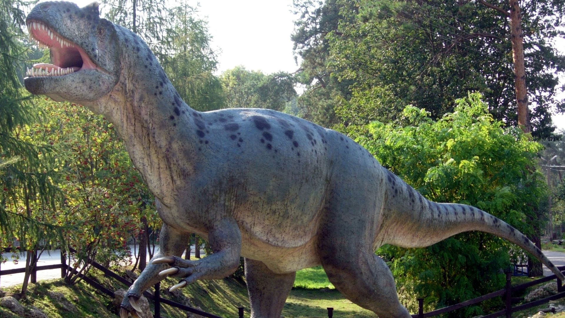 File:Allosaurus in Baltow 20060916 1500.jpg