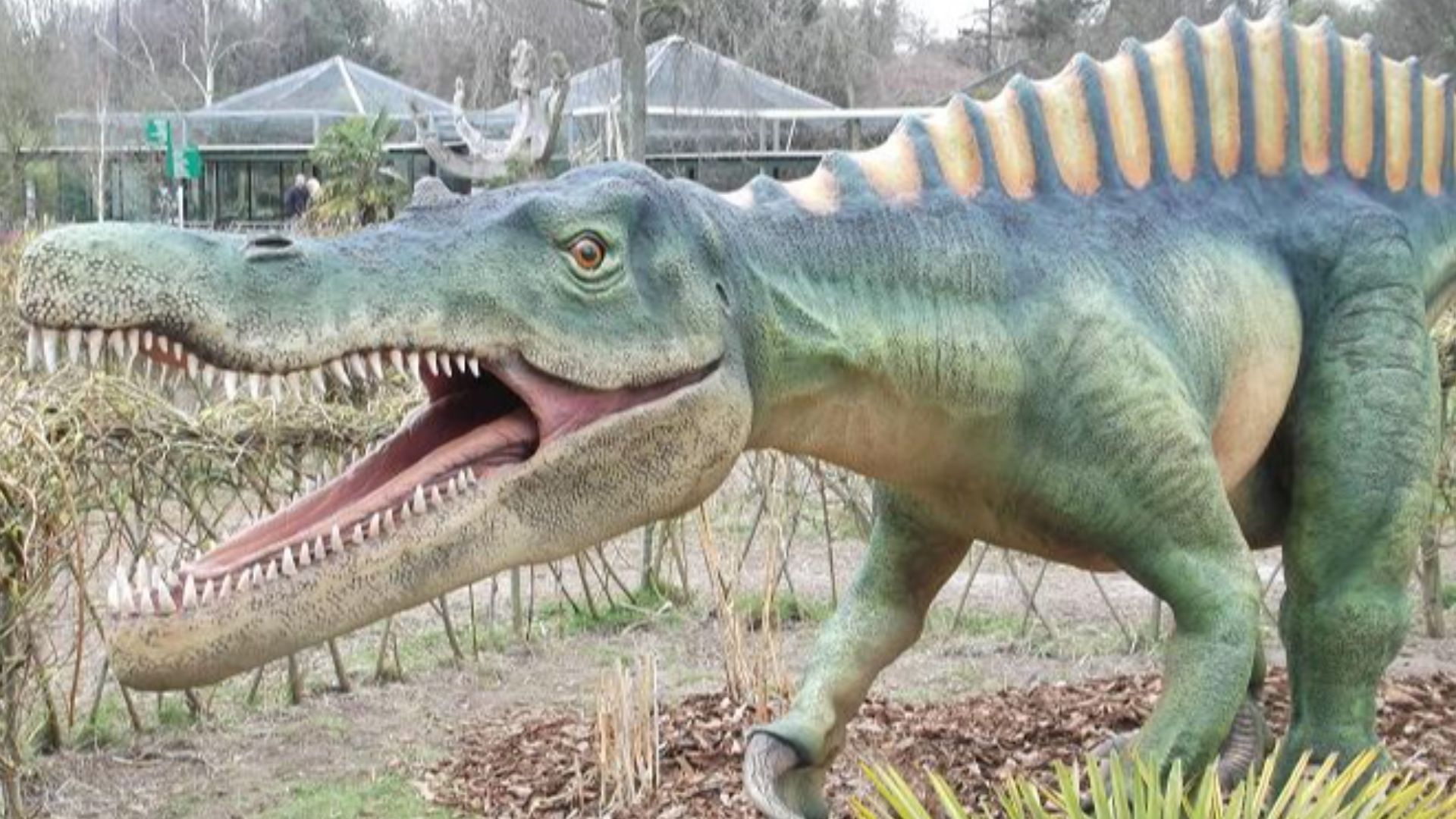 File:Dino - Suchomimus - 1.jpg