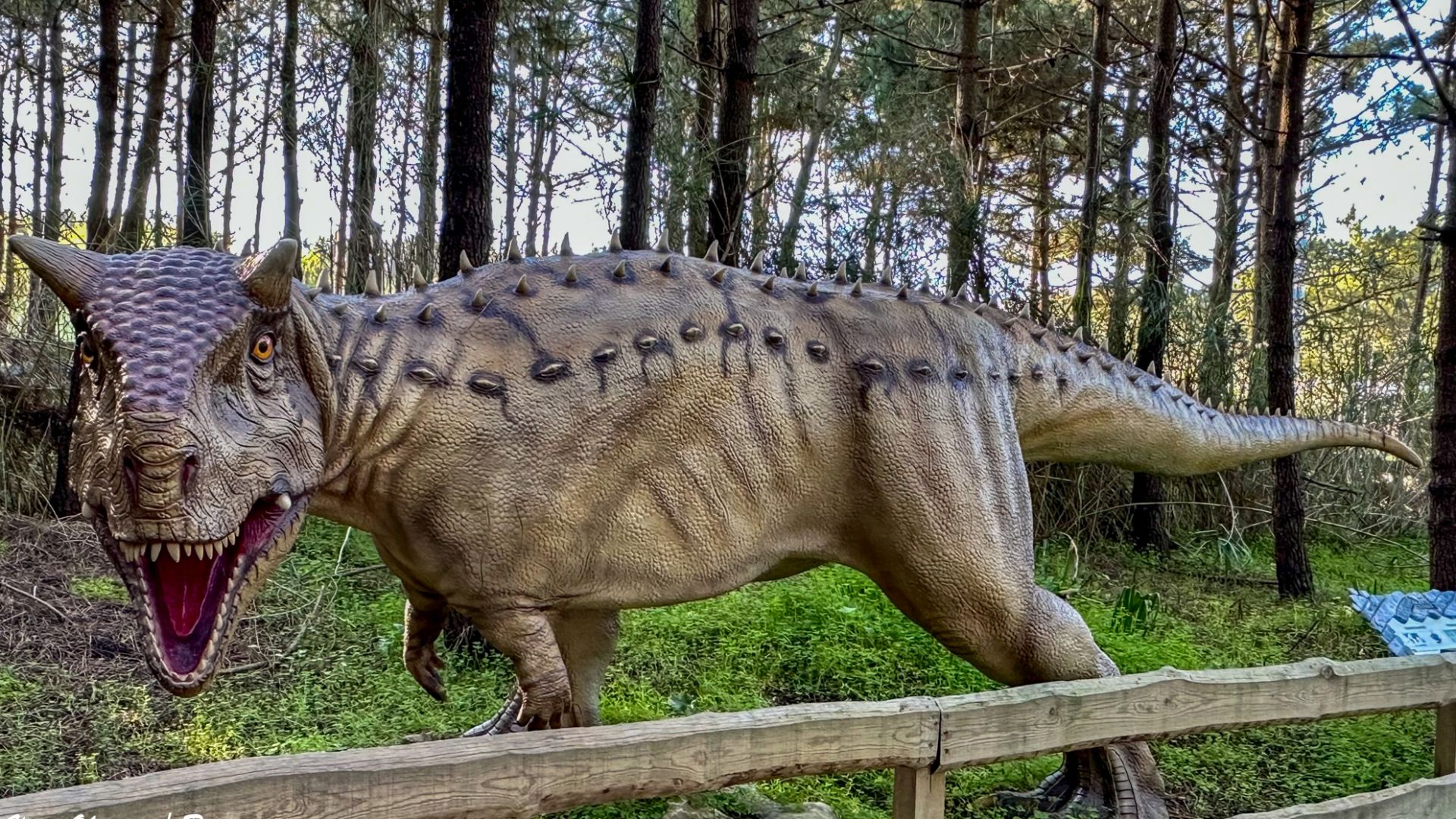 File:Papo carnotaurus - Dino Parque da Lourinhã - Portugal 🇵🇹 (53892261442).jpg