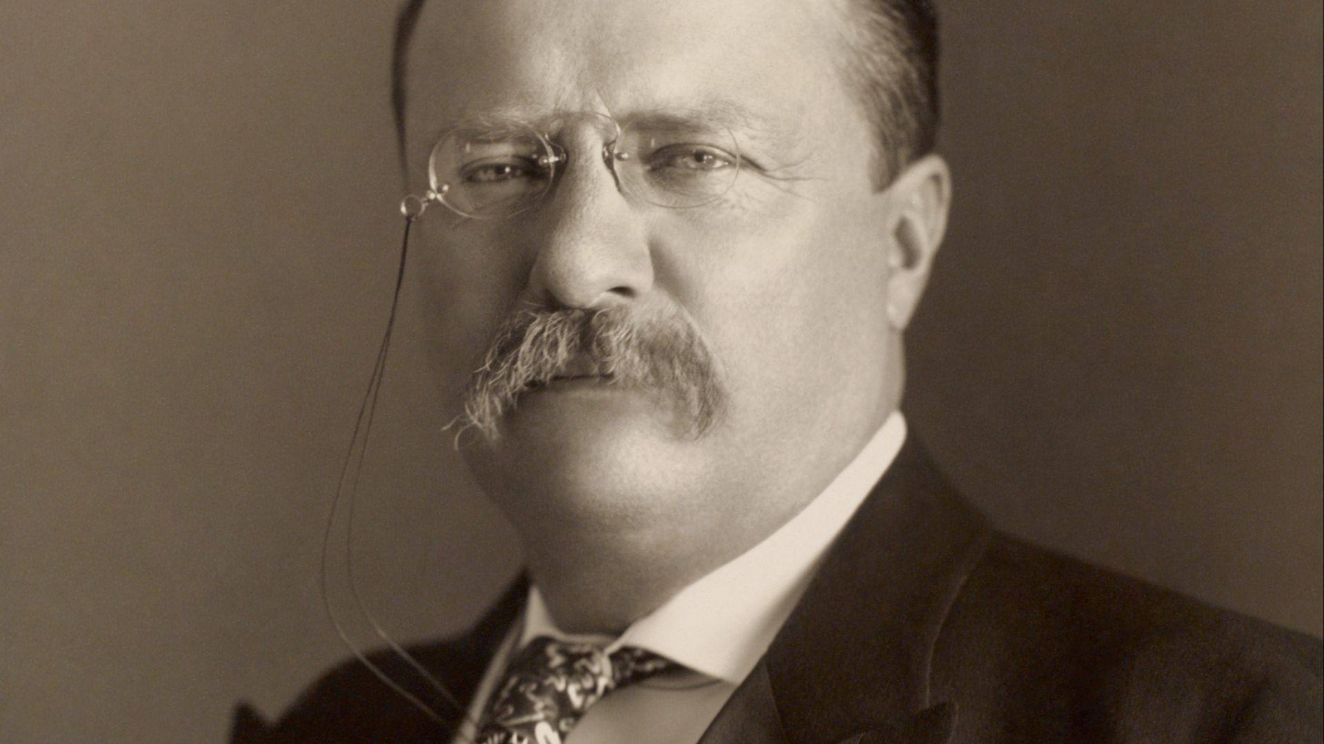 File:Theodore Roosevelt by the Pach Bros.jpg