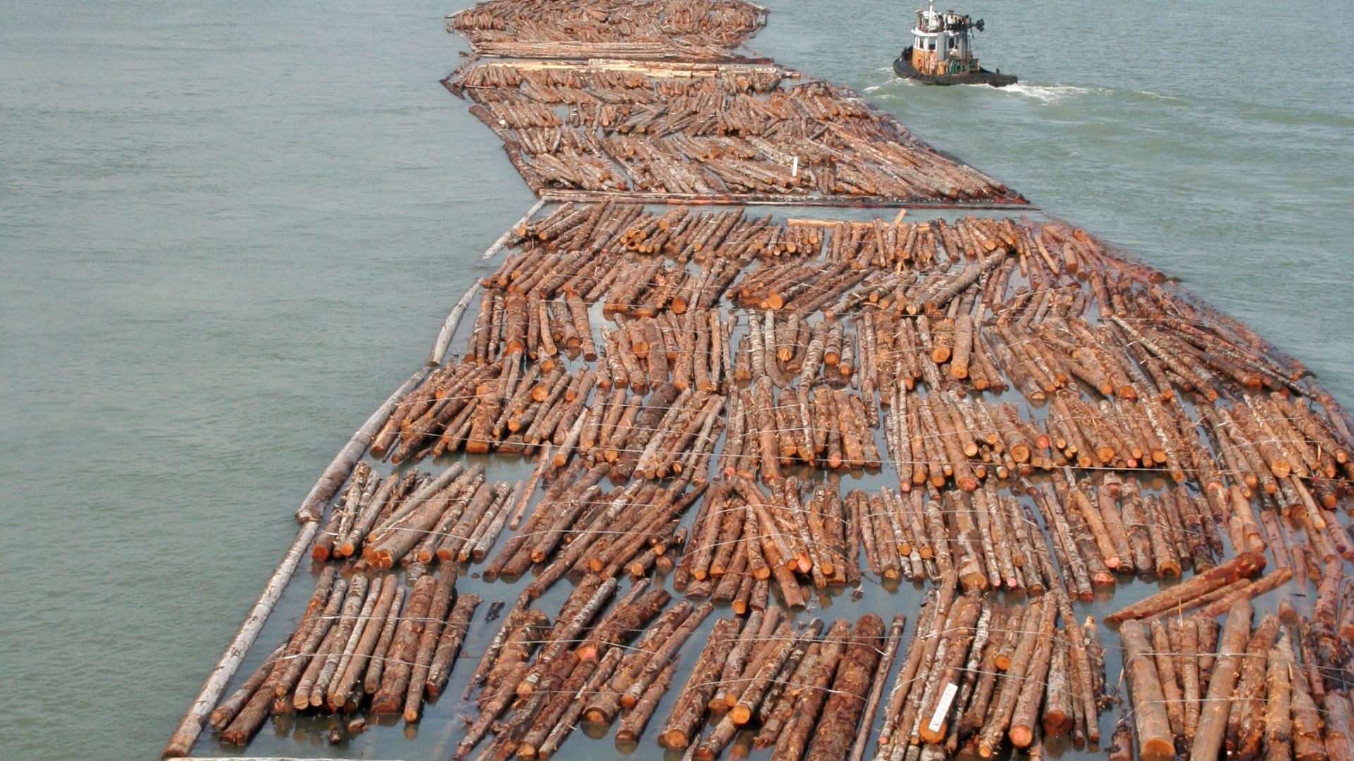 File:Log driving in Vancouver.jpg