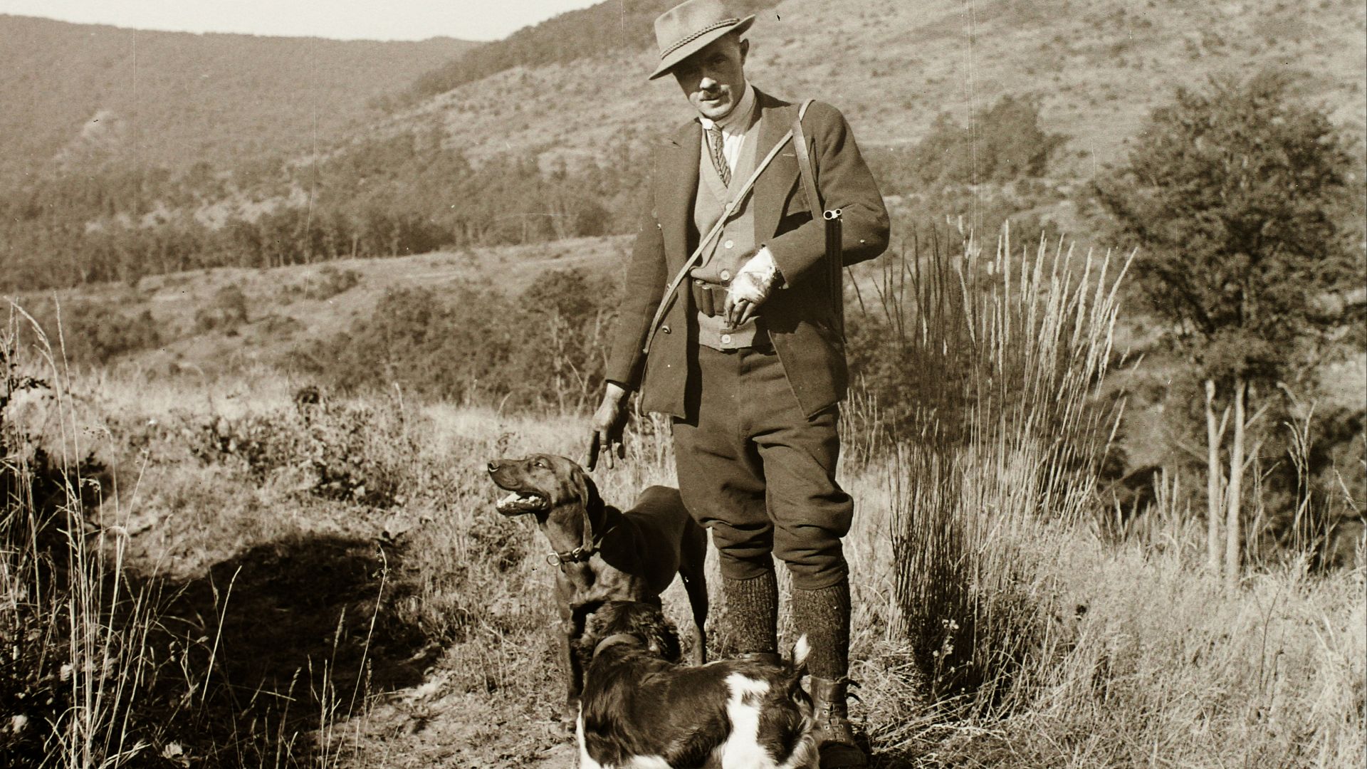 File:Hunting, hunter, dog, hat, hillside Fortepan 92394.jpg